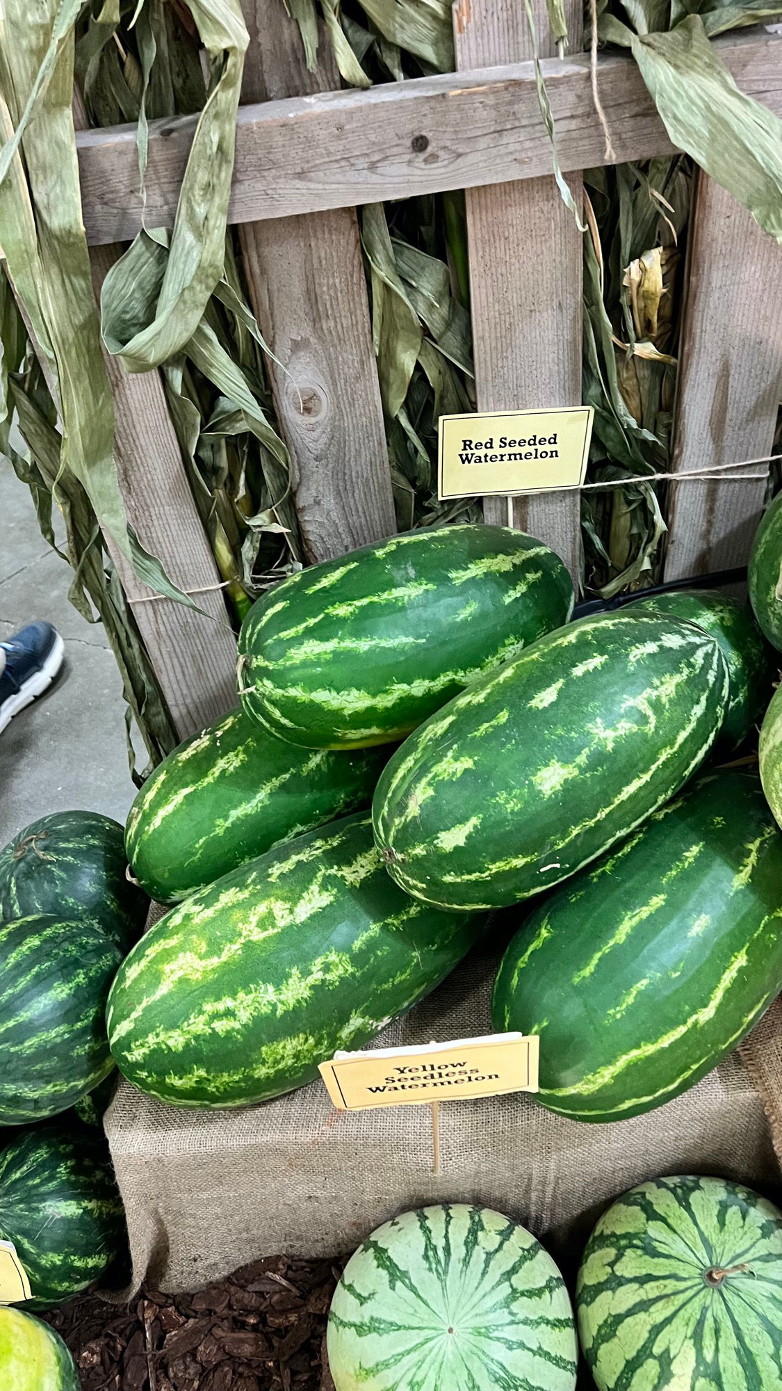 Underwood Family Farms Red Seeded Watermelon
