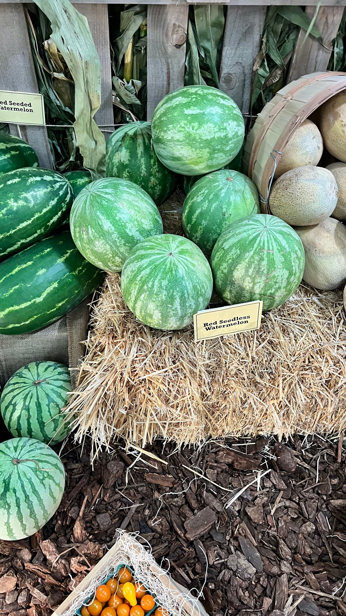 Underwood Family Farms Red Seedless Watermelon