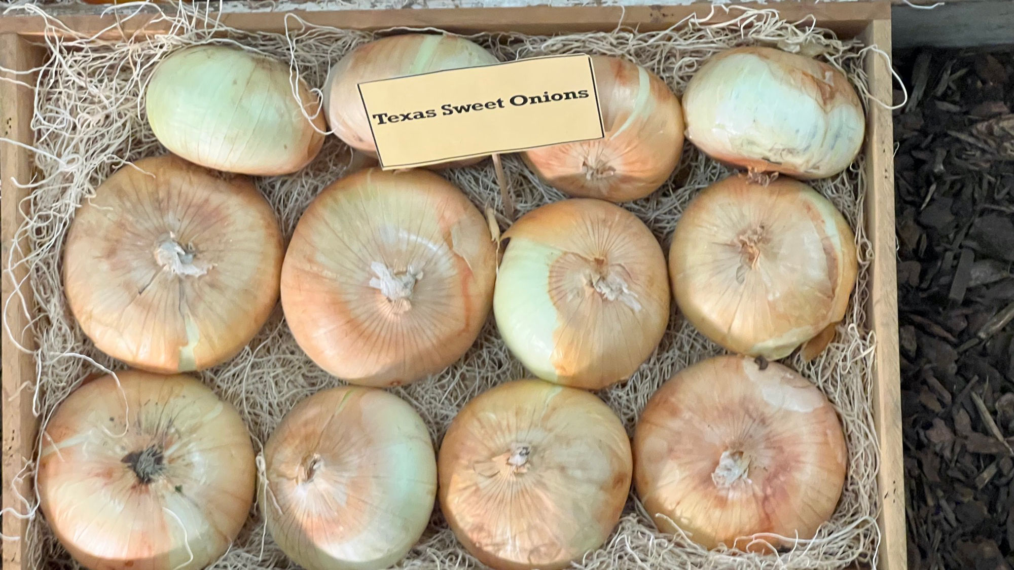 Underwood Family Farms Texas Sweet Onions