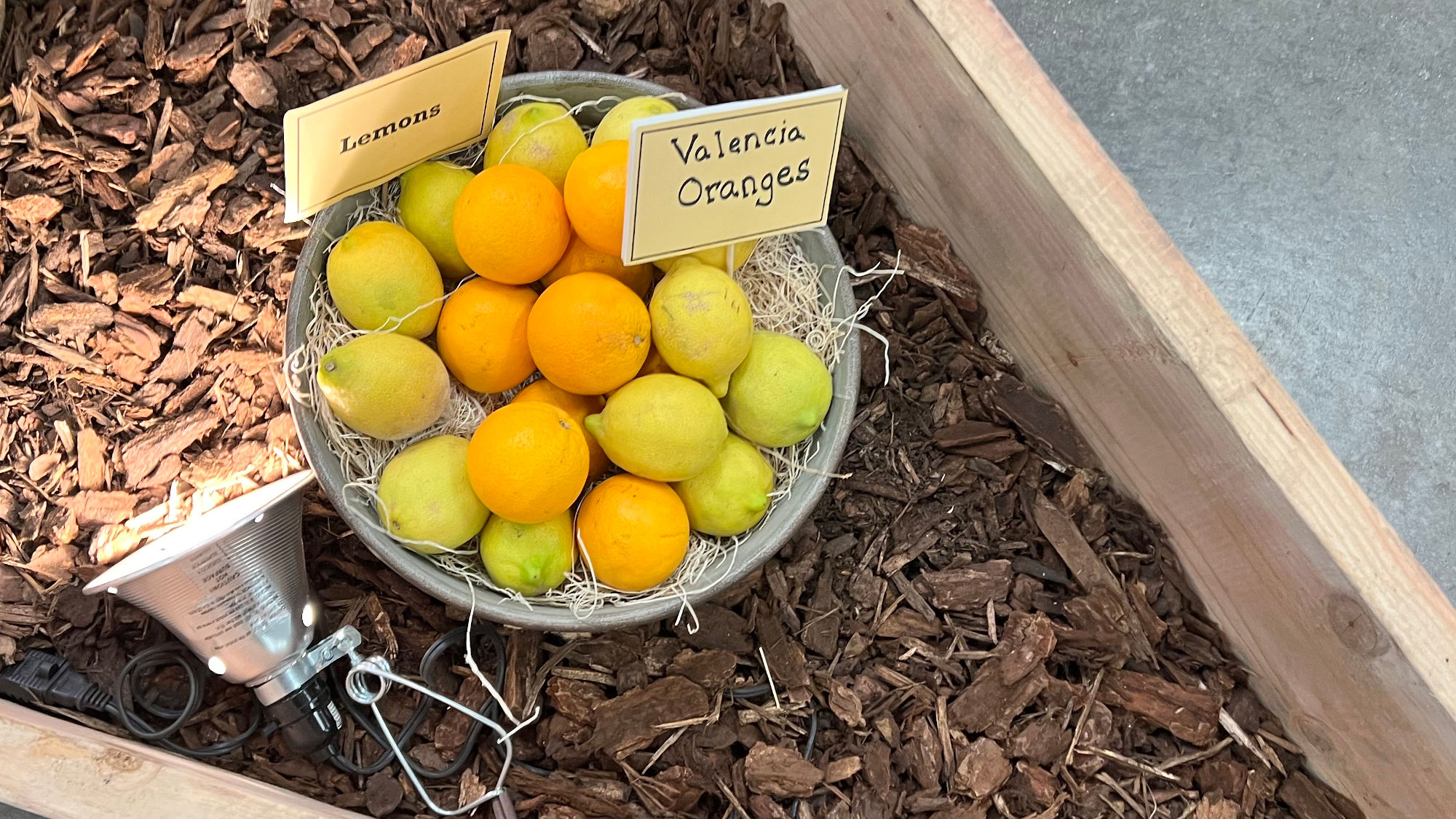 Underwood Family Farms Valencia Oranges