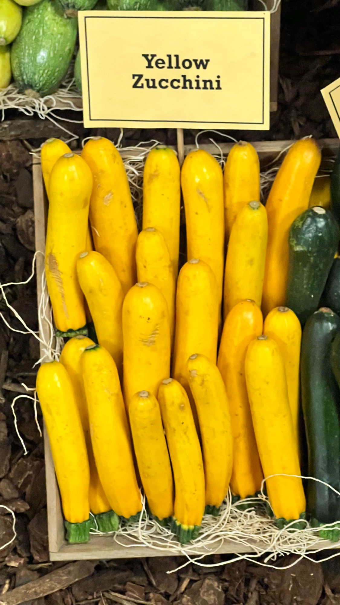 Underwood Family Farms Yellow Zucchini