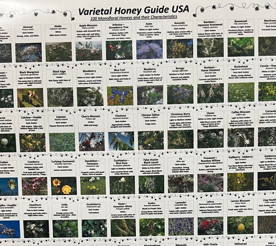 Varietal Honey Guide