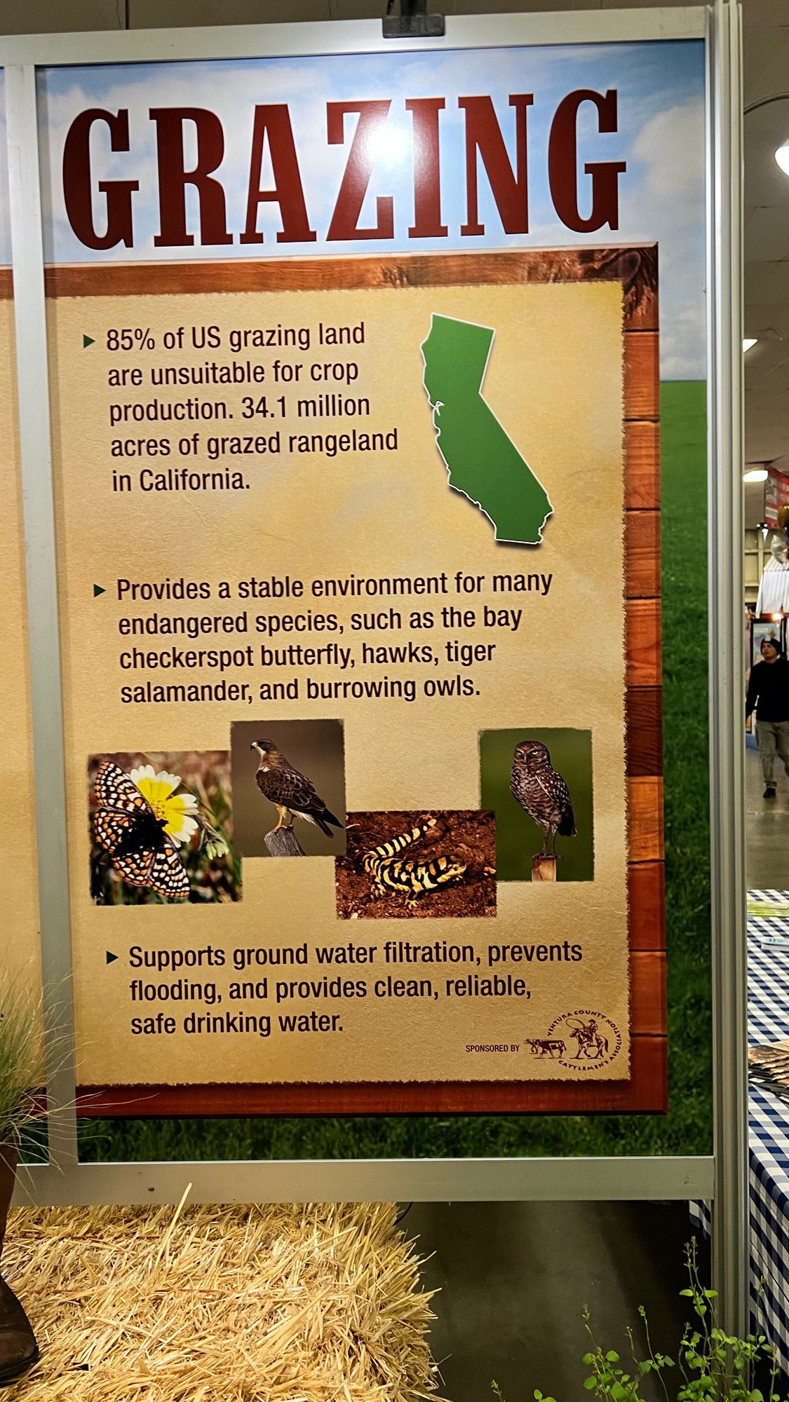 Grazing VC Cattlemen's Association Grazing