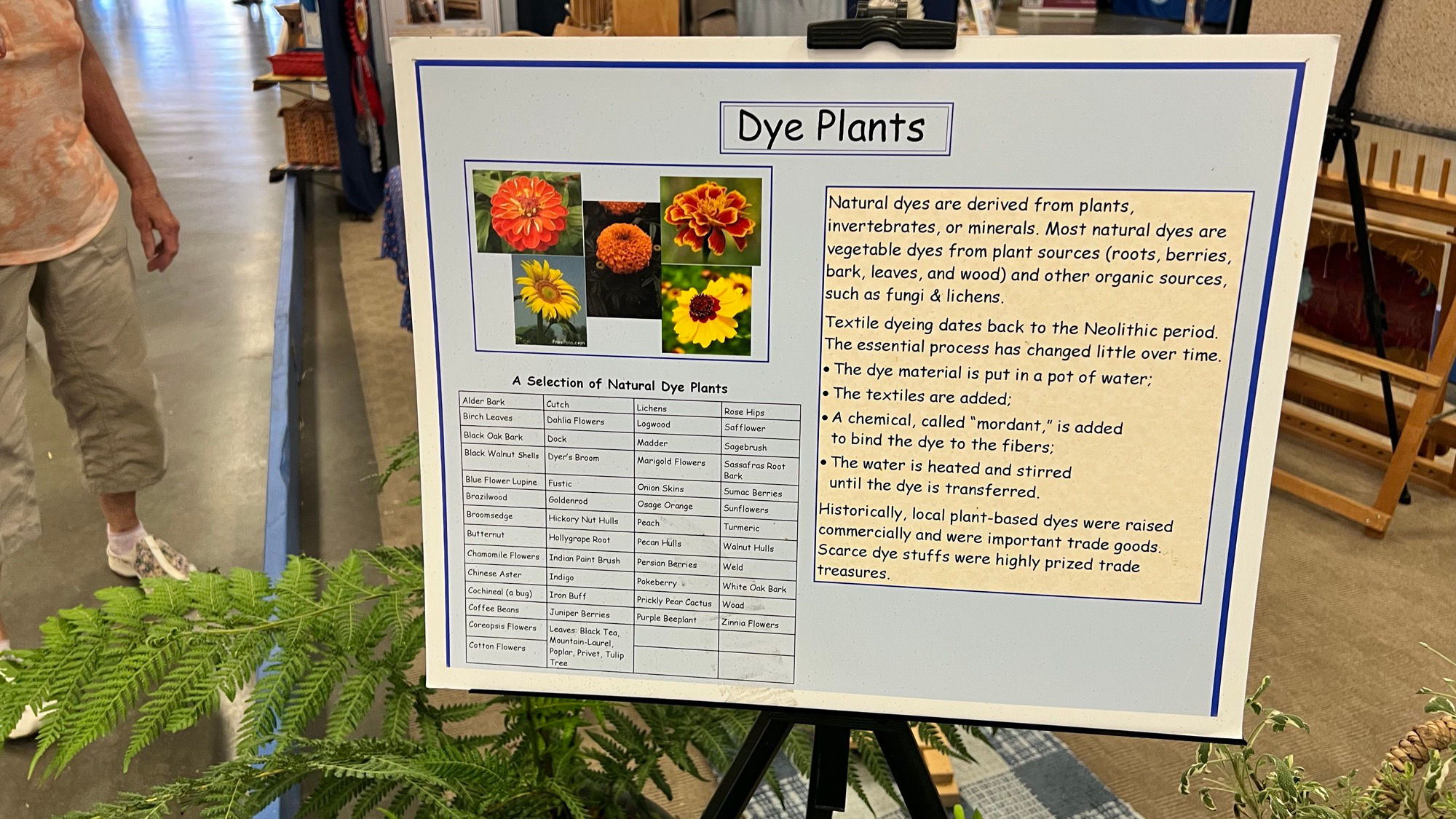 VCHSG Dye Plants