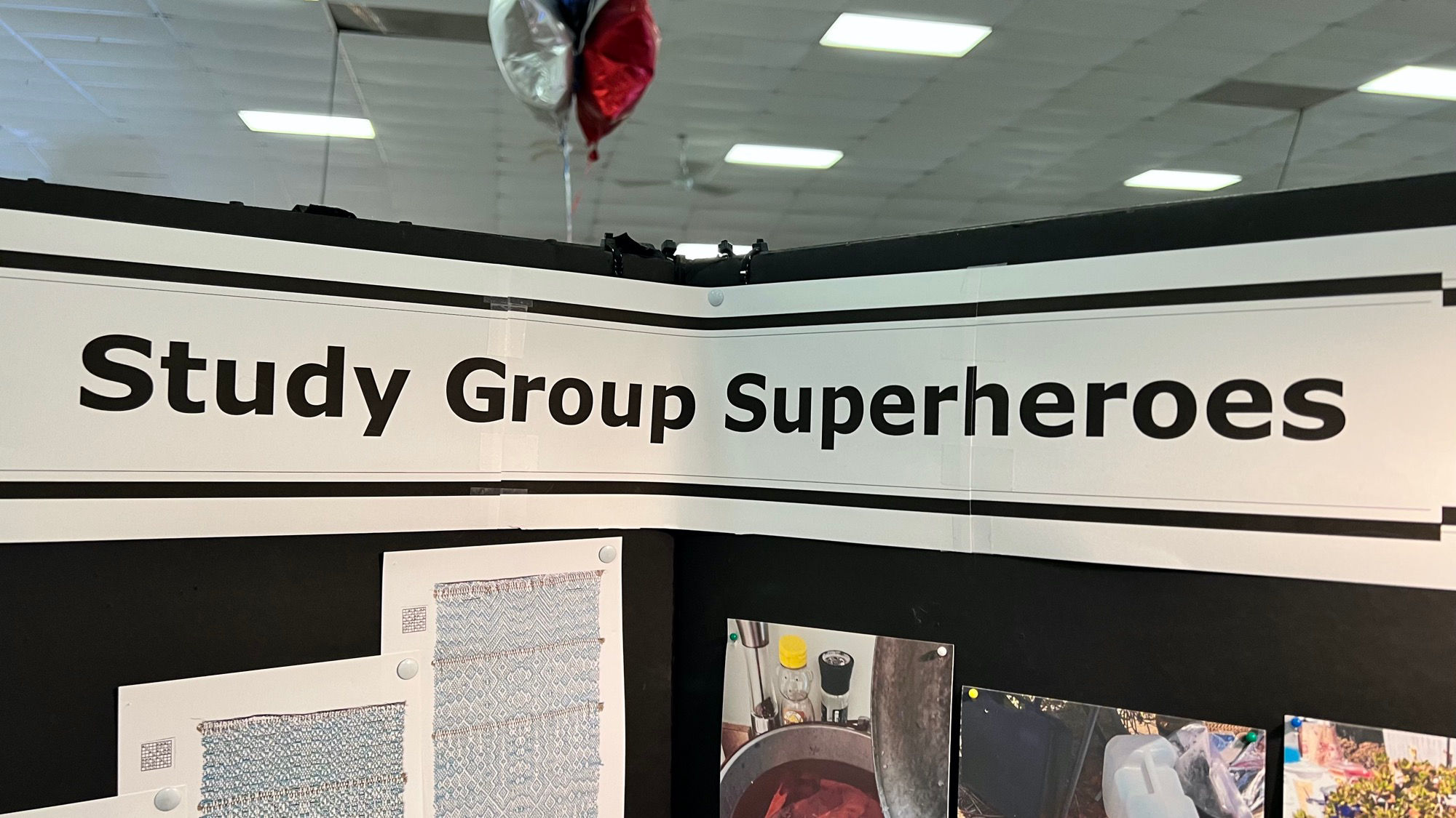VCHSG Study Group Superheros