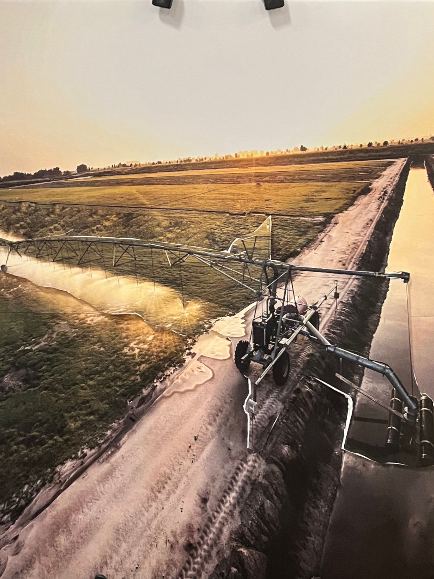 Linear Irrigation Ventura Agriculture Linear Irrigation