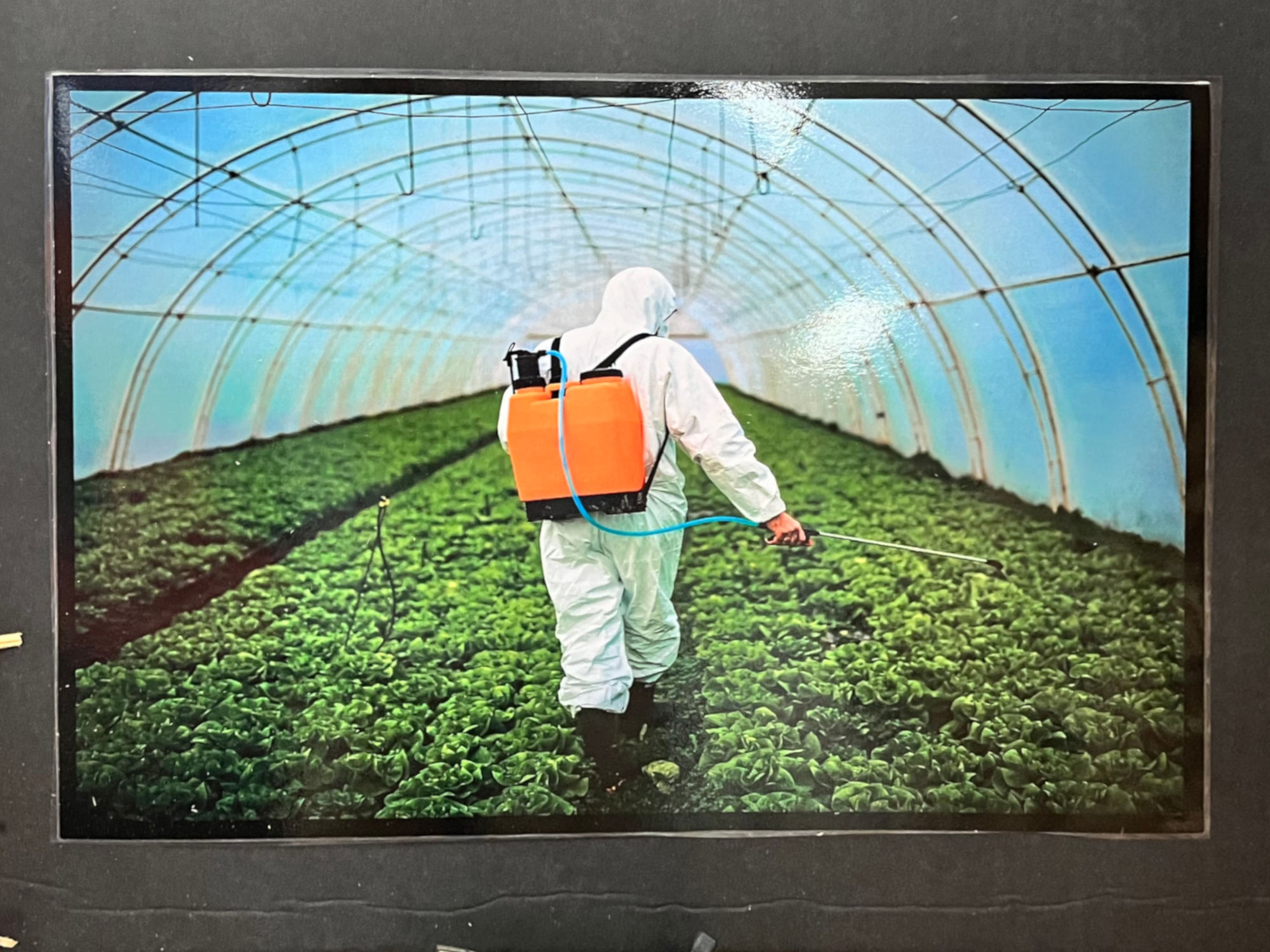 Weed Killer Ventura Agriculture Weed Killer