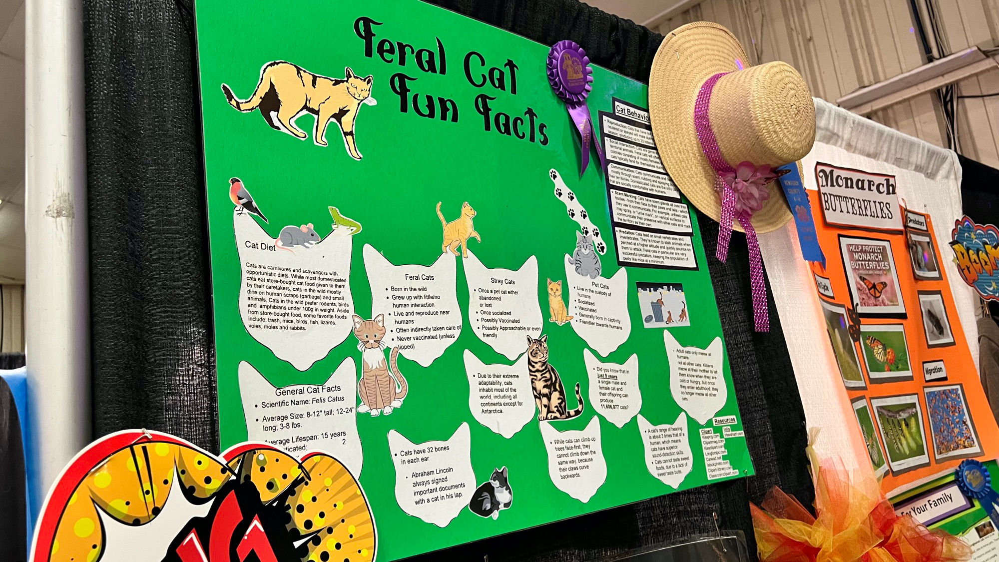 Ventura County 4H Feral Cat Fun Facts