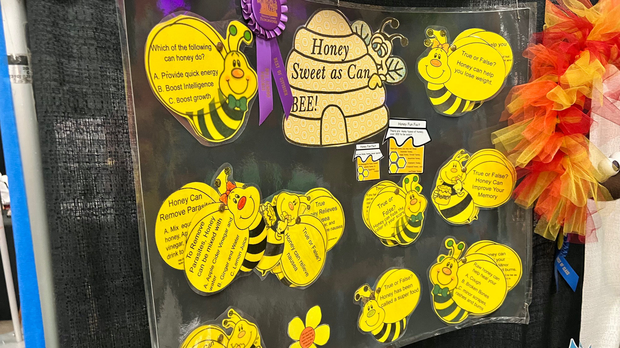 Ventura County 4H Honey Sweet as can BEE