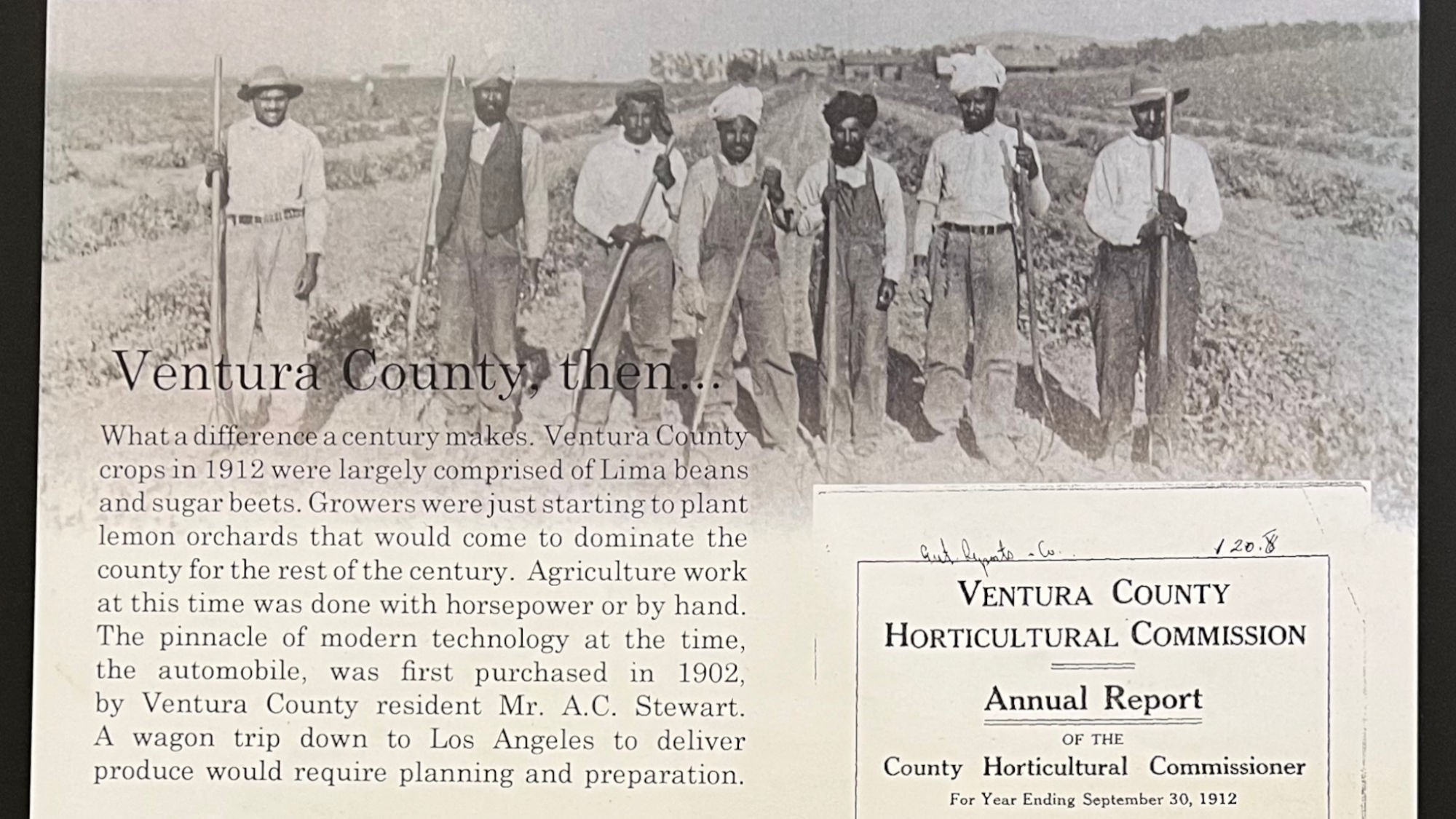Agriculture 1912 Ventura County Agriculture 1912