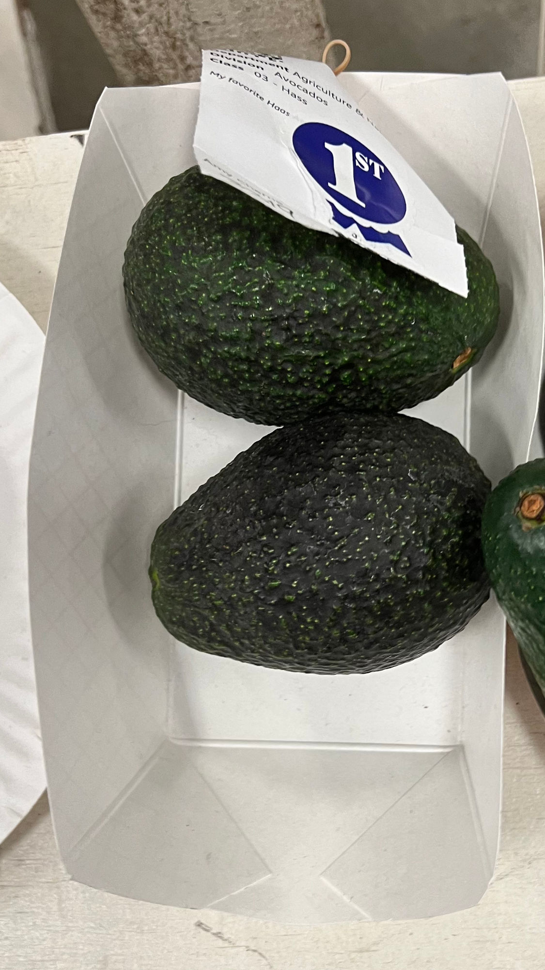 Ventura County Fair Avocados Hass 1st Place