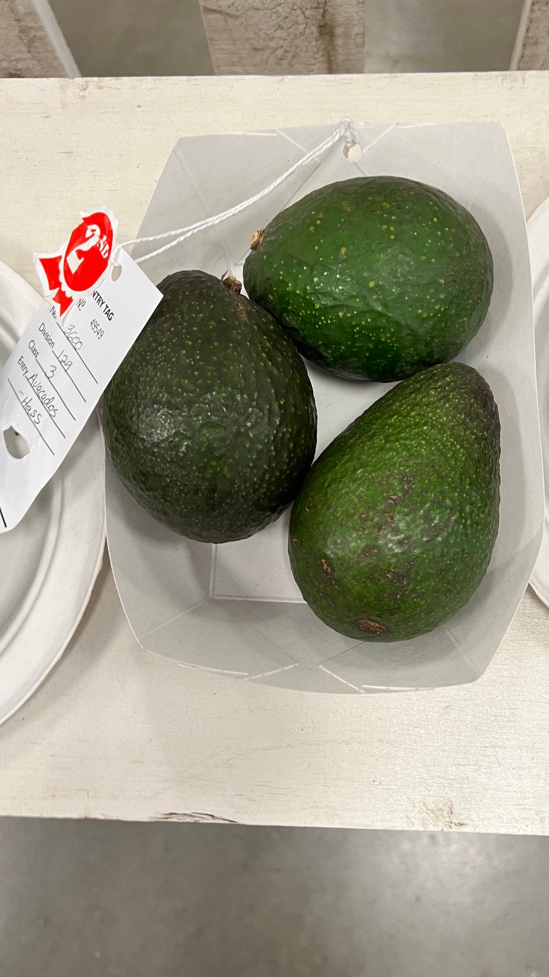 Ventura County Fair Avocados Hass 2nd Place