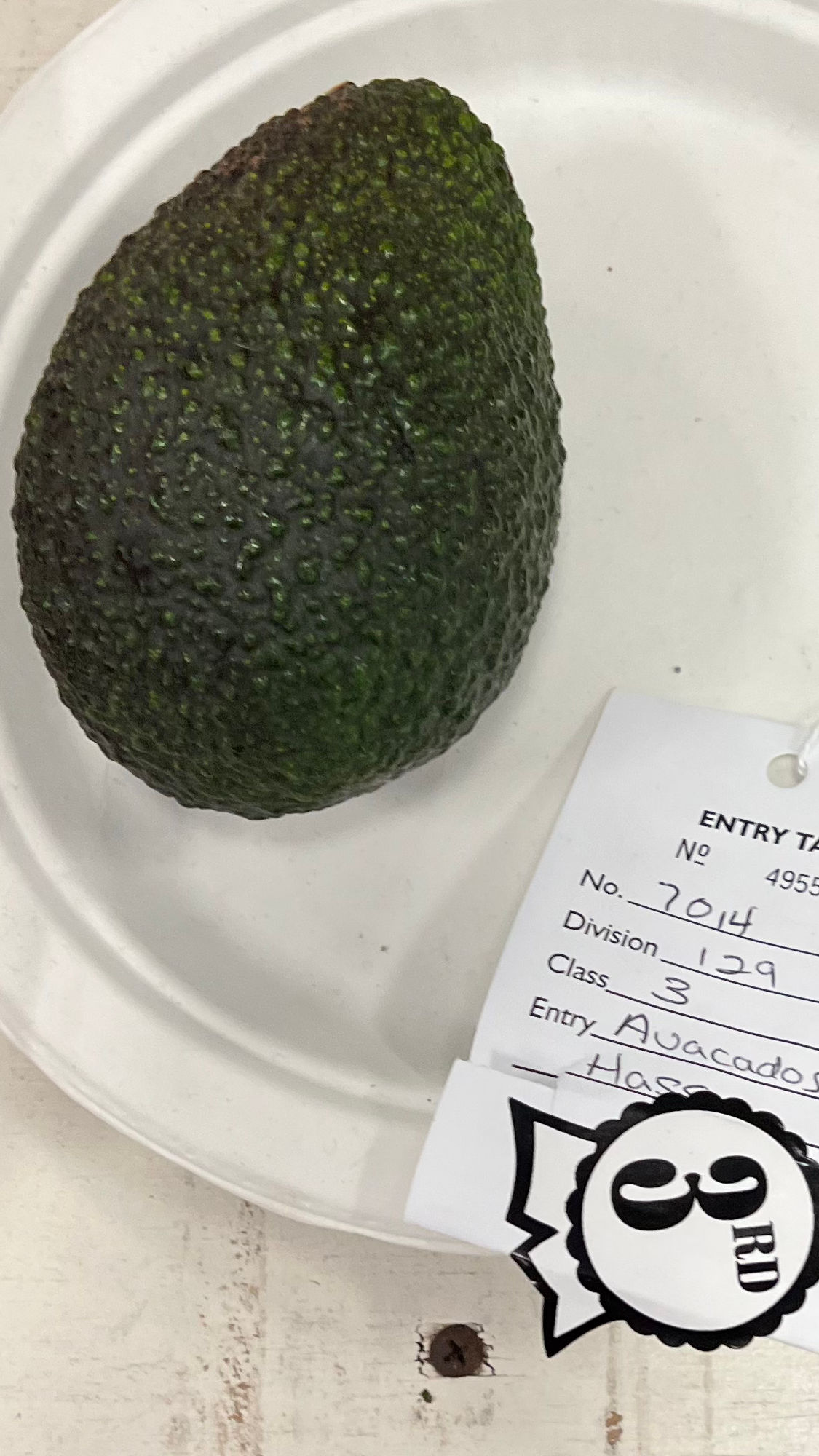 Ventura County Fair Avocados Hass 3rd Place