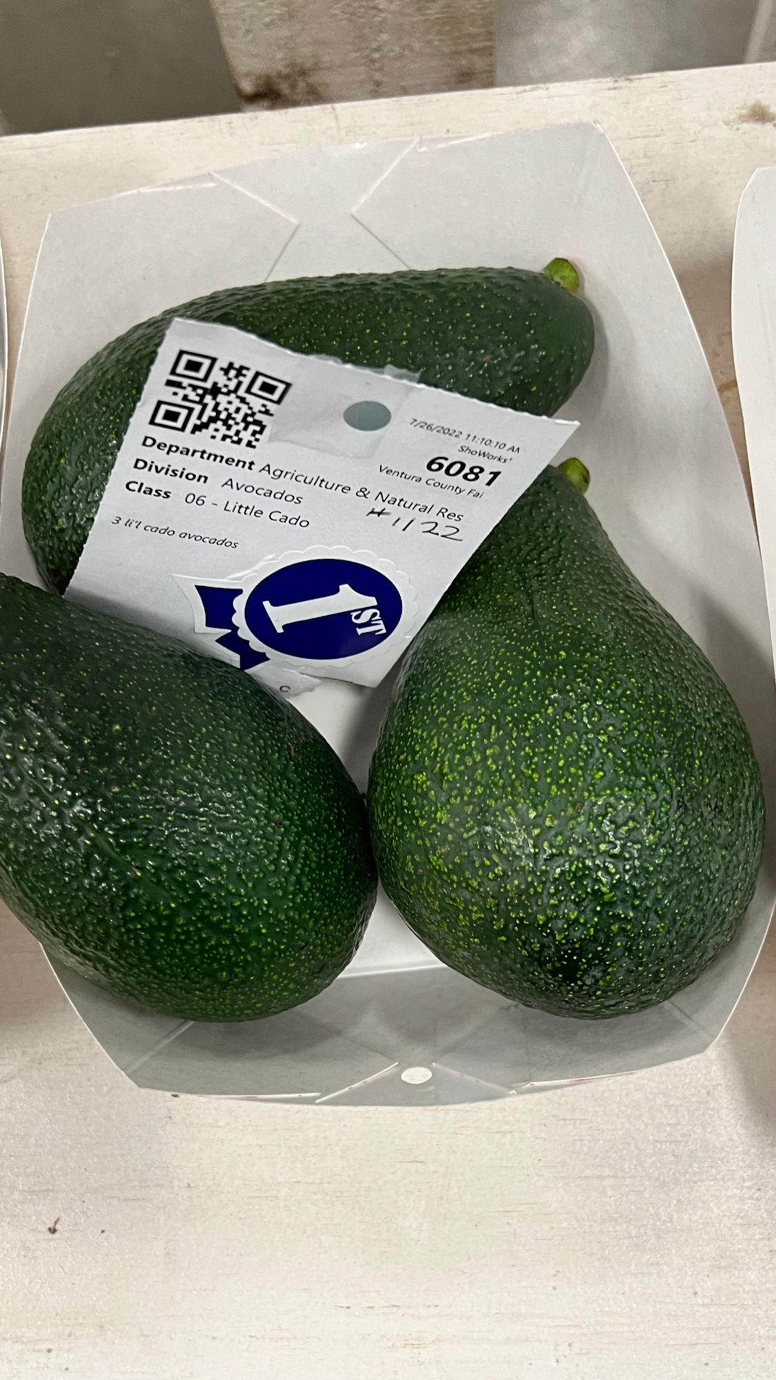 Ventura County Fair Avocados Little Cado 1st Place