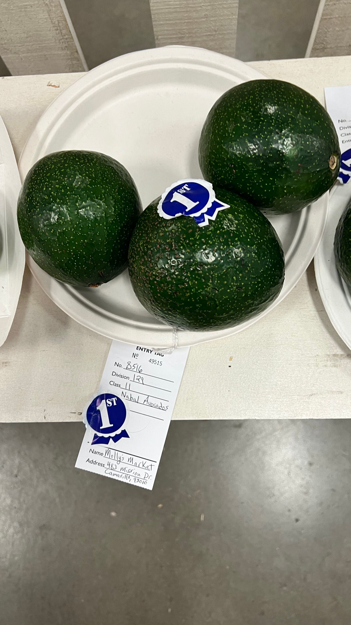 Ventura County Fair Avocados Nabal 1st Place