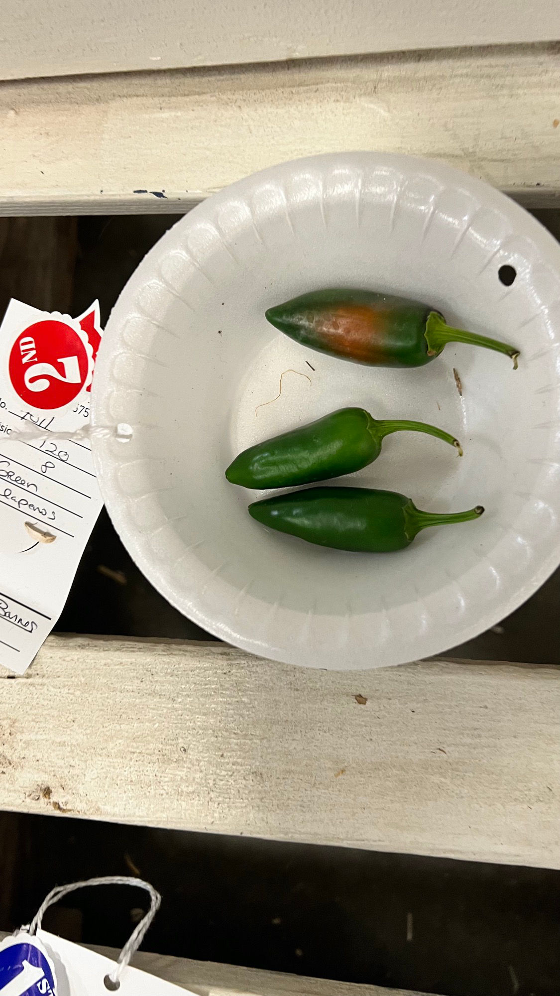 Ventura County Fair Chile Peppers 2nd Place