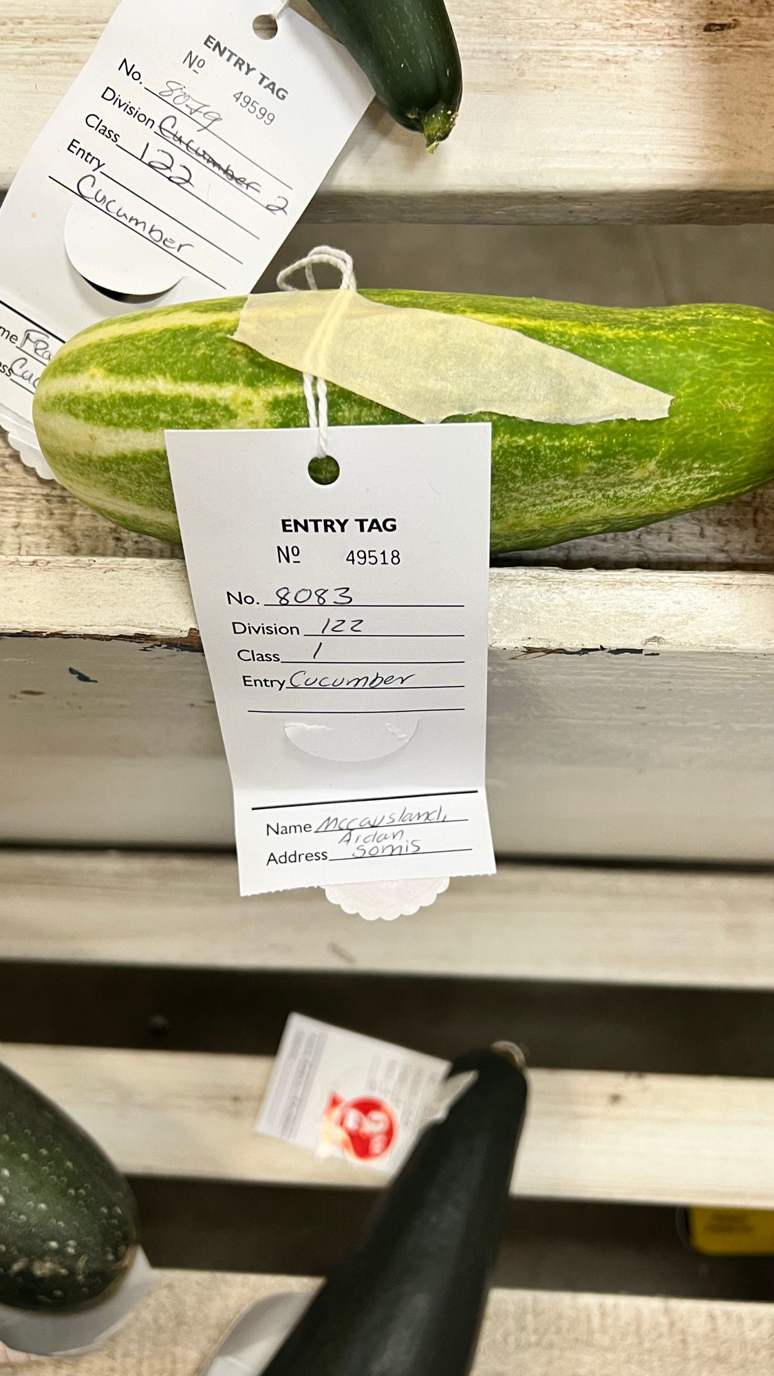 Ventura County Fair Cucumber Pickling