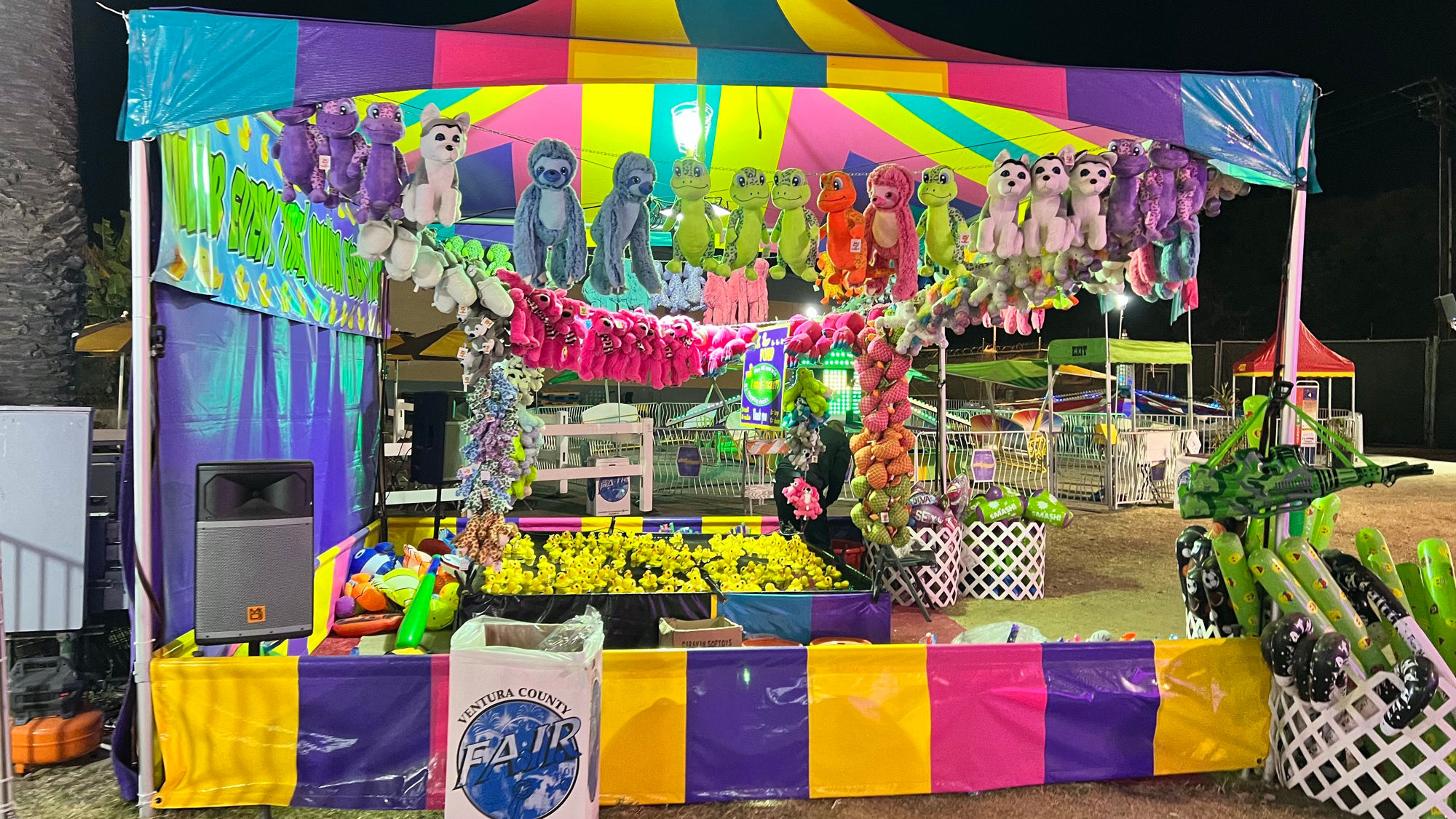 Ventura County Fair Duck Pond