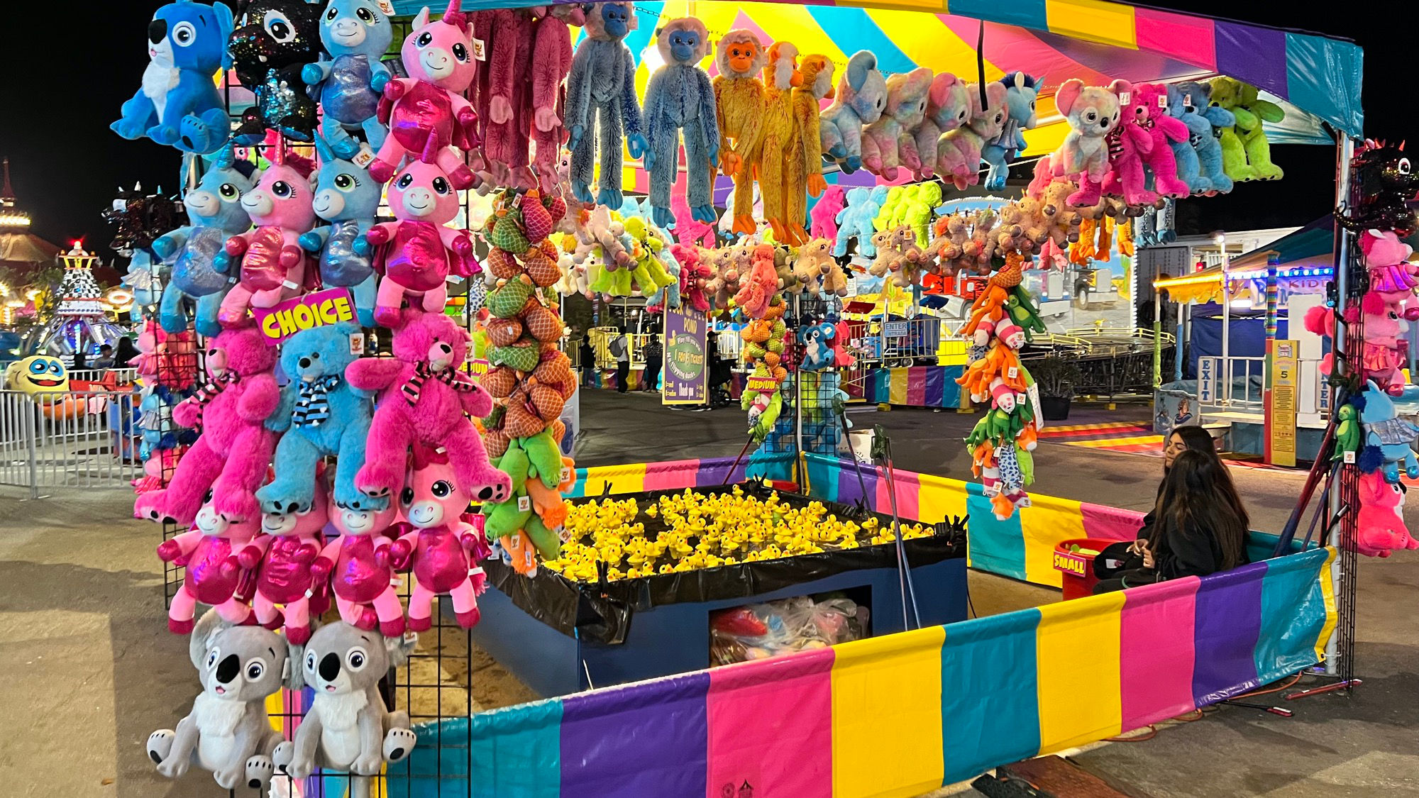 Ventura County Fair Duck Pond