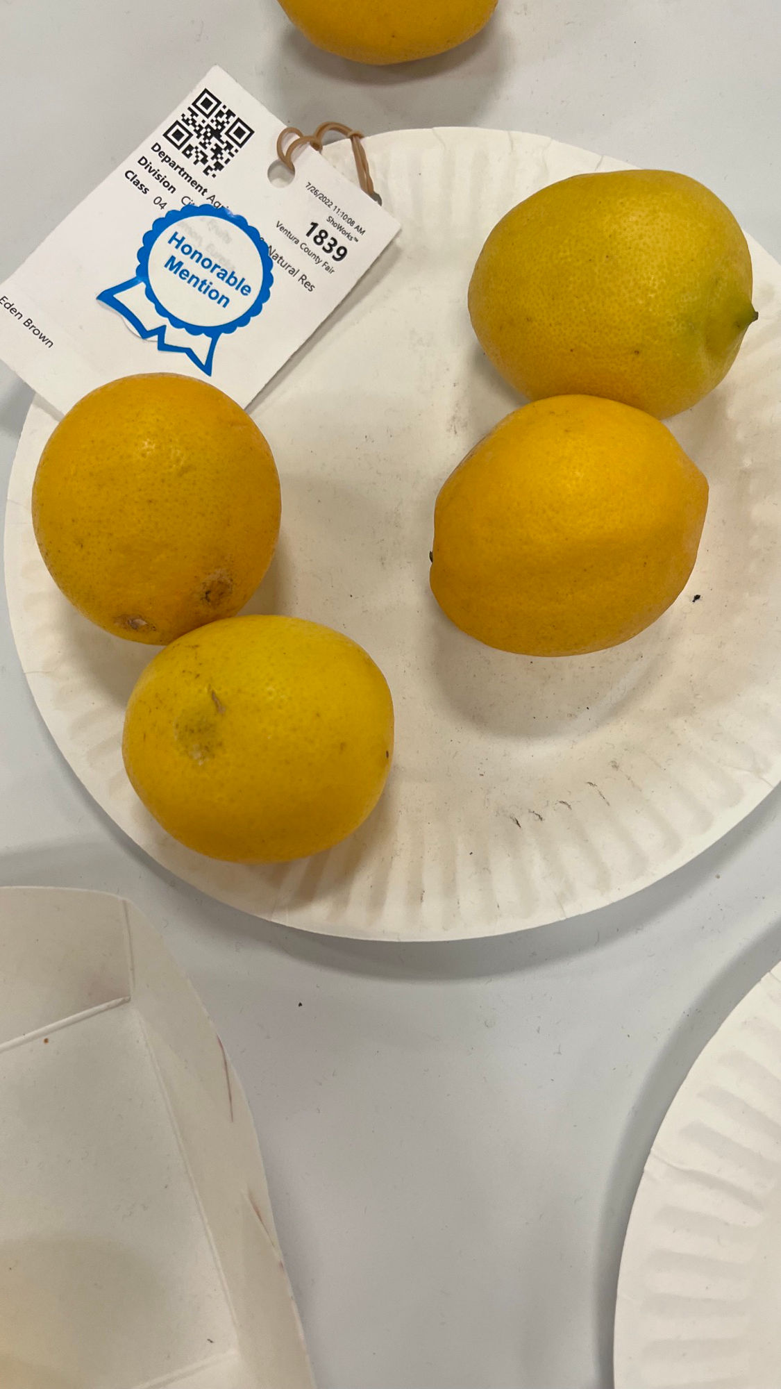 Ventura County Fair Eureka Lemon Honorable Mention