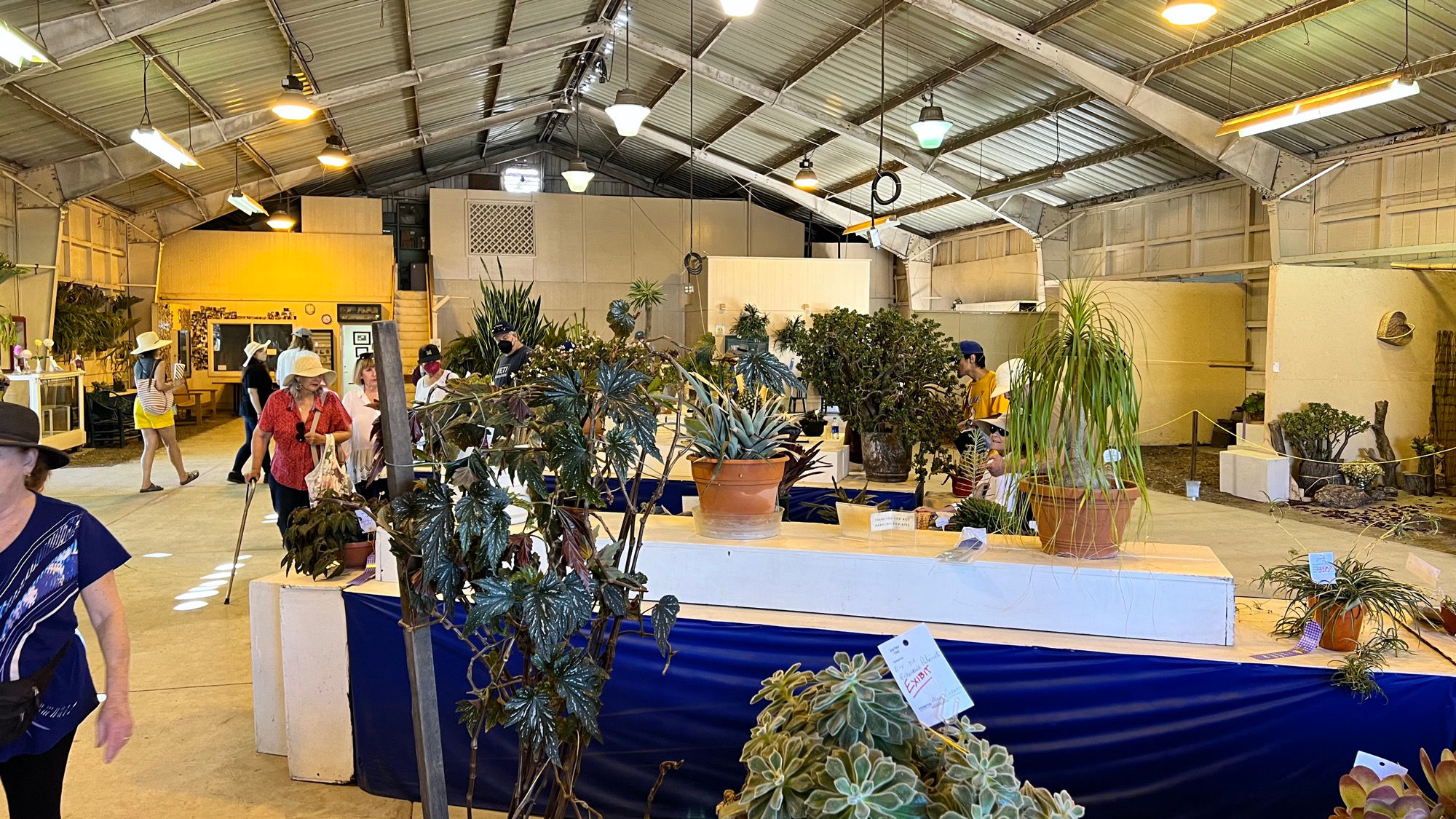 Ventura County Fair Floriculture