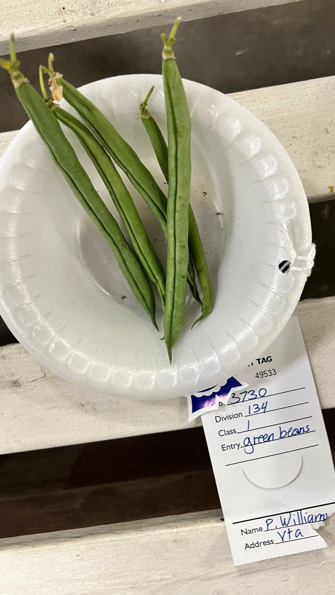 Ventura County Fair Green Beans 1st Place