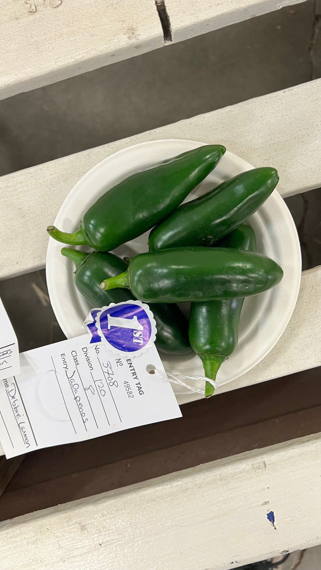 Ventura County Fair Green Jalapenos 1st Place