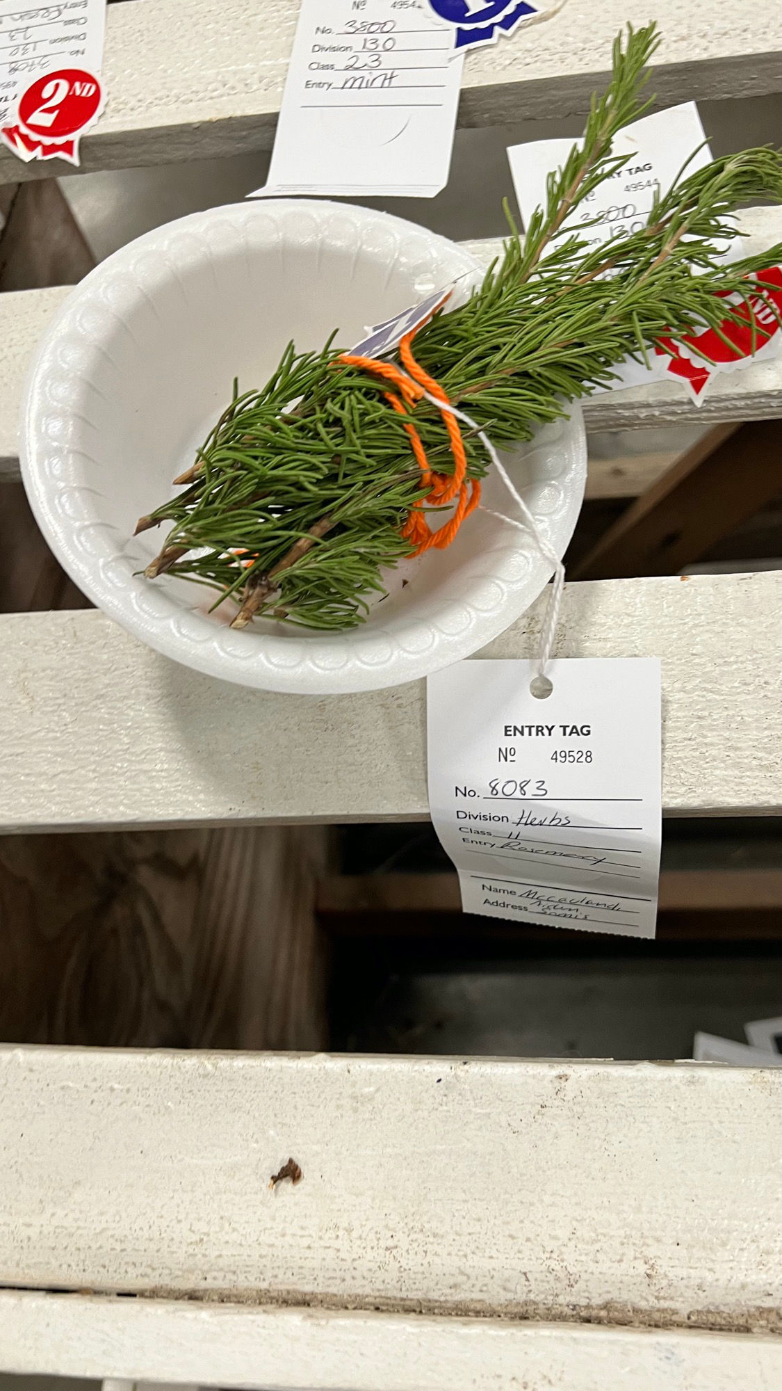 Ventura County Fair Herbs Rosemary