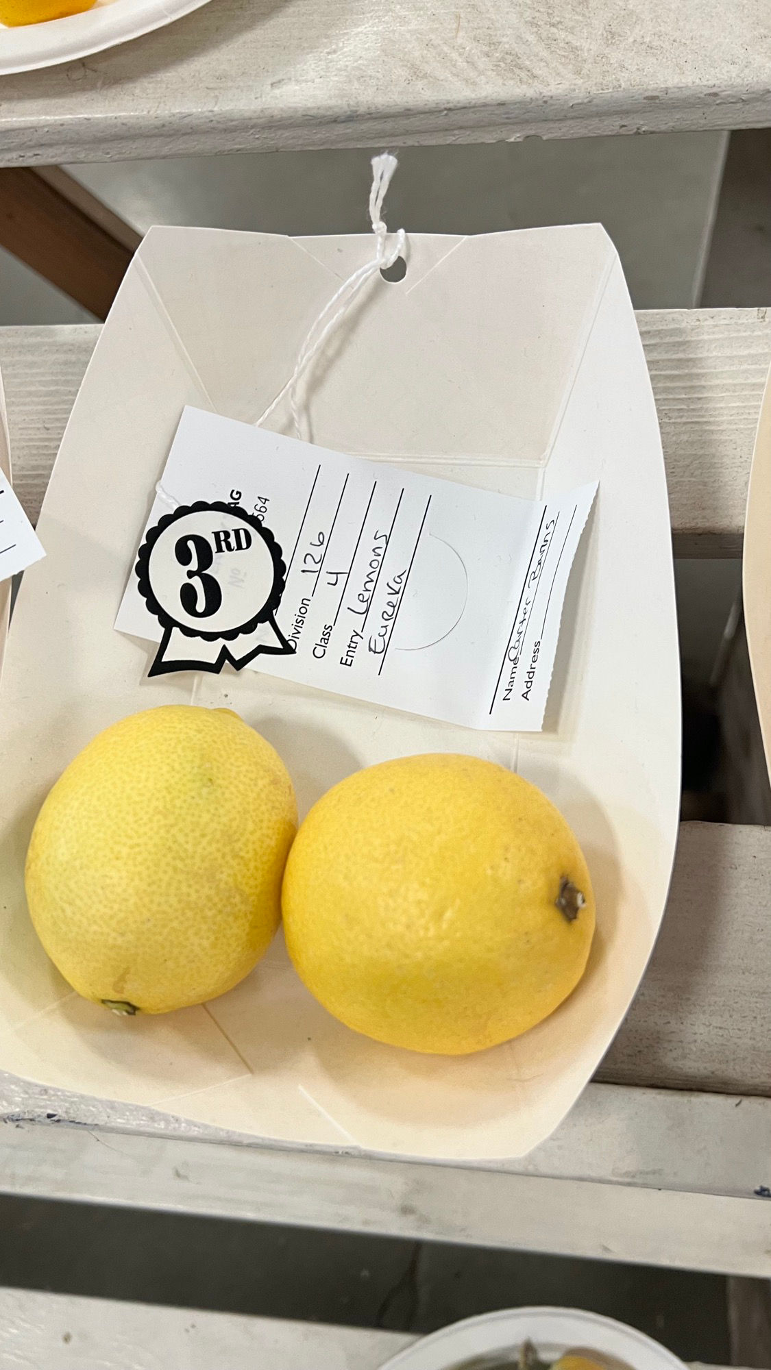 Ventura County Fair Lemons Eureka 3rd Place