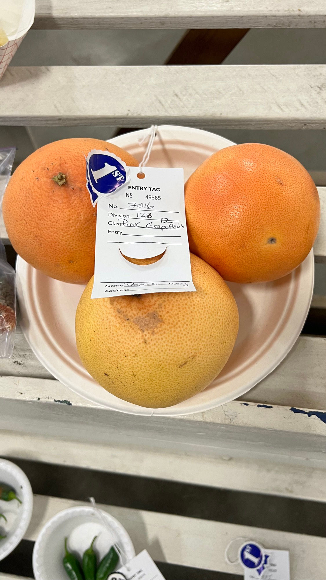 Ventura County Fair Pink Grapefruit 1st Place