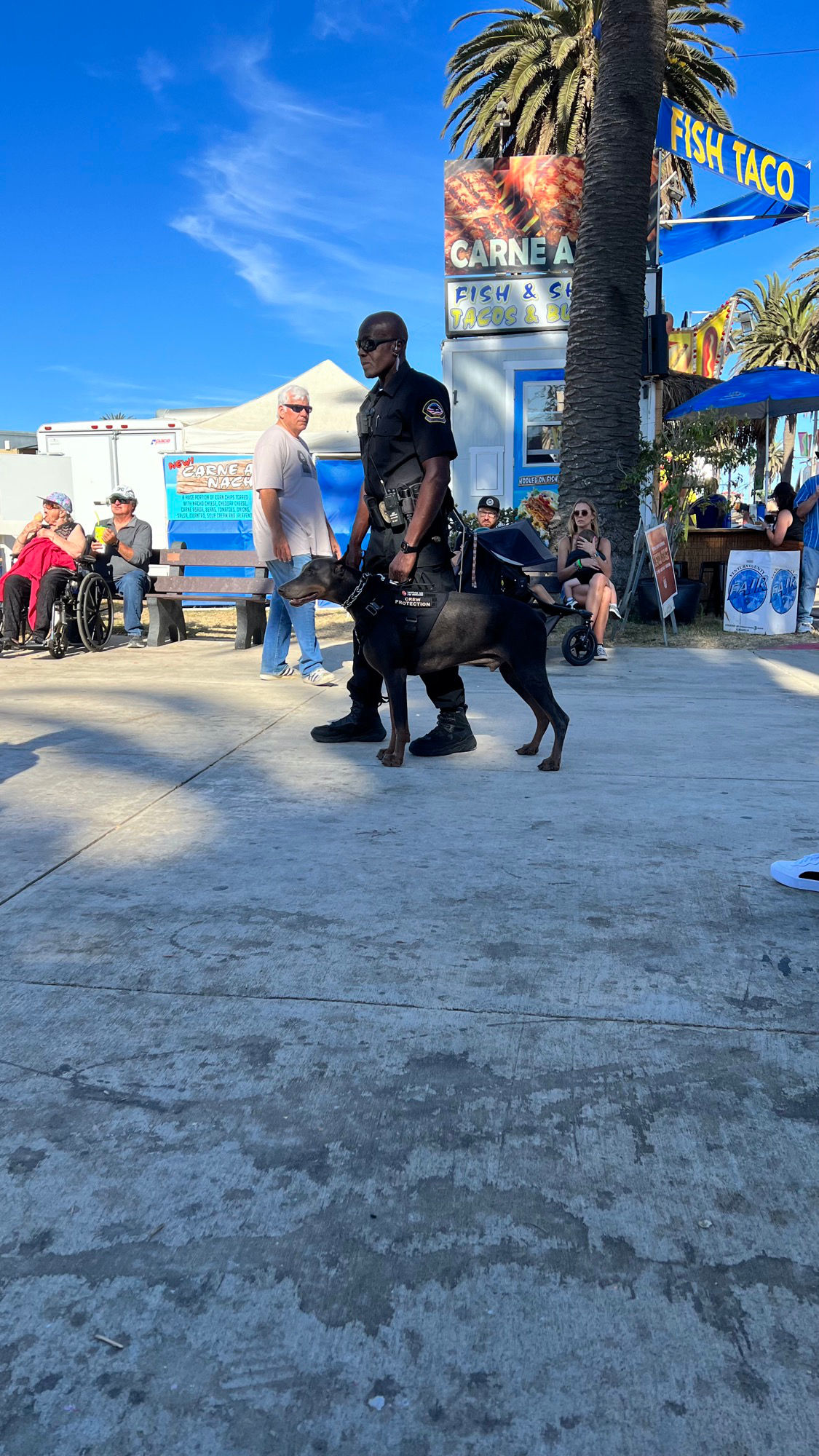 Ventura County Fair Security