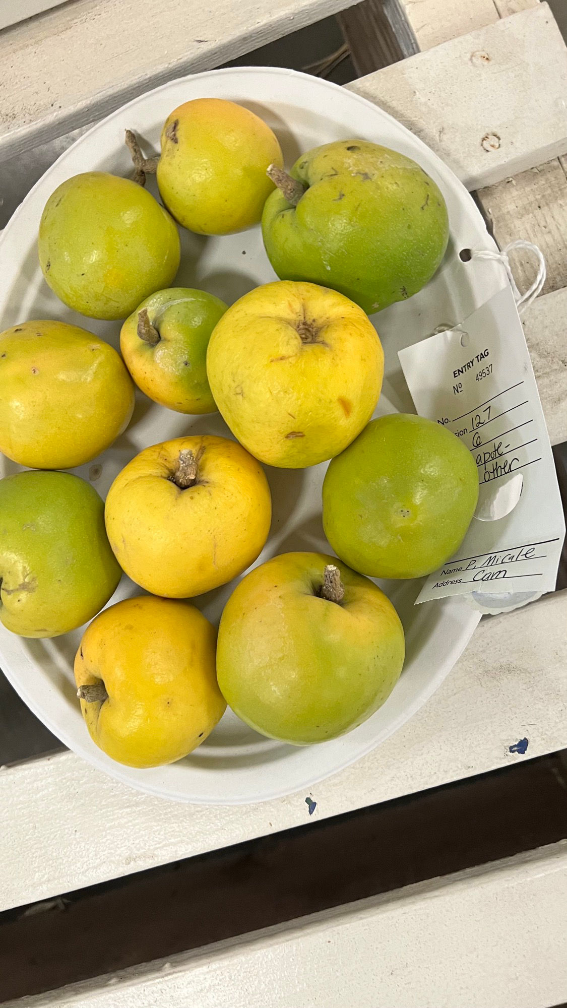Ventura County Fair Tropical Fruits Other
