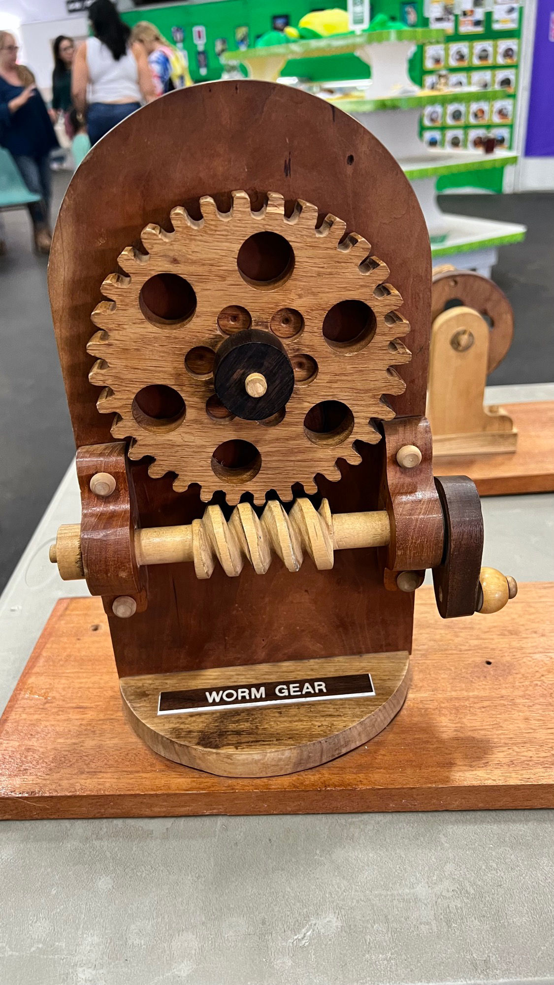 Youth Expo Worm Gear