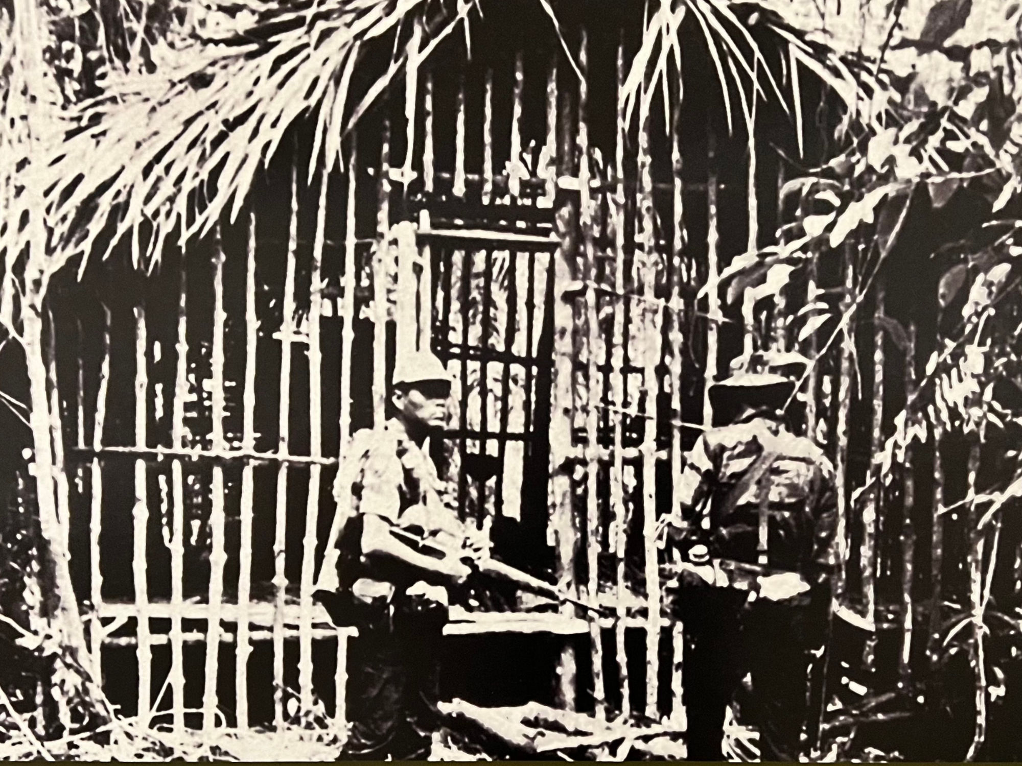 Cage Like Hut Tiger Cage