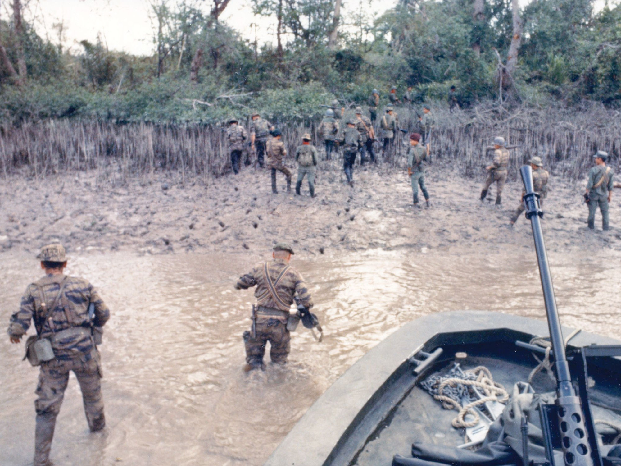 Mekong Delta Operation Bold Dragon III