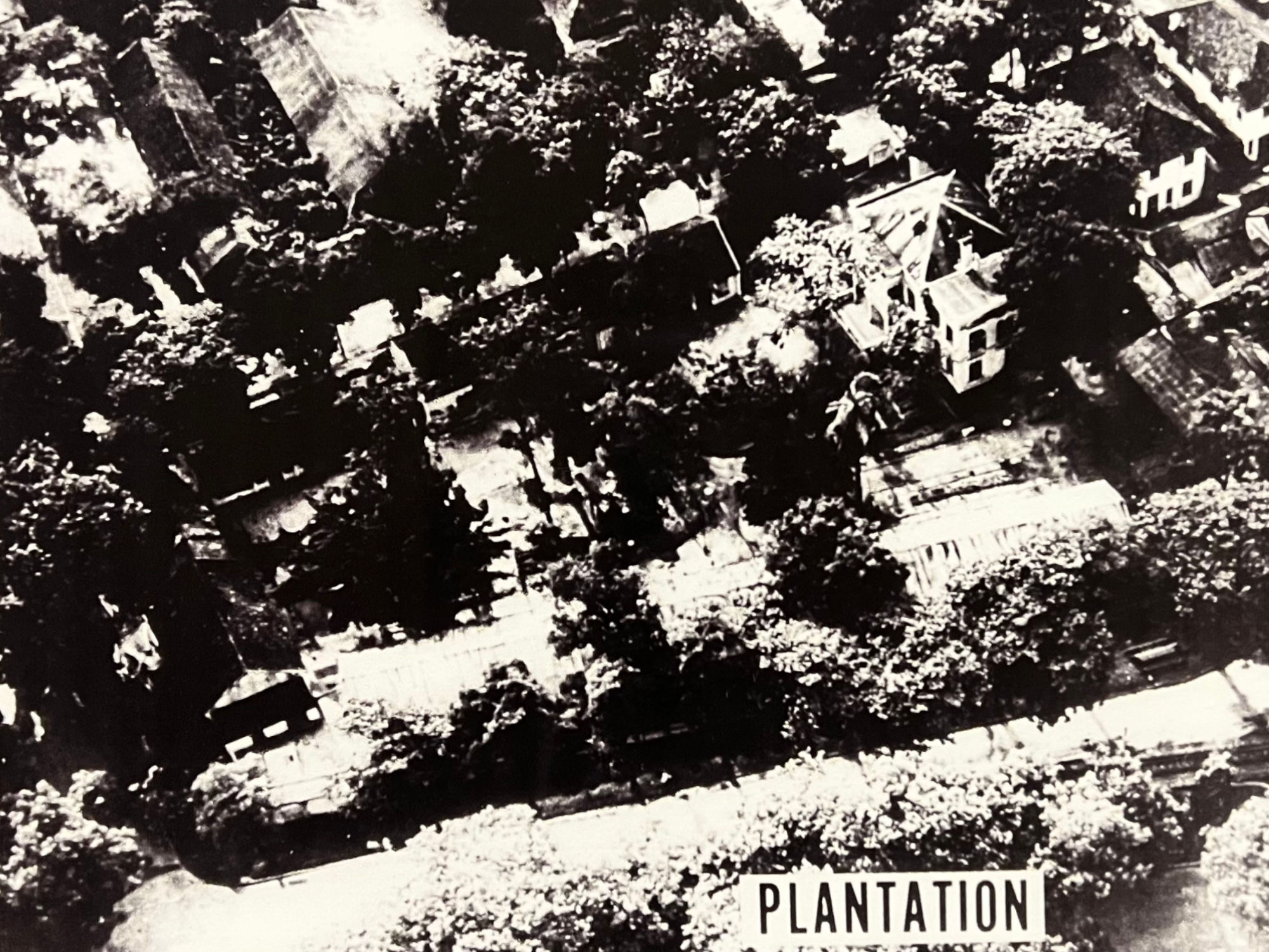 Vietnam Prison Camp Plantation