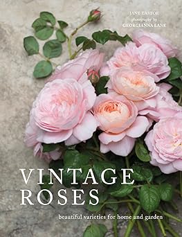 Vintage Roses on Amazon