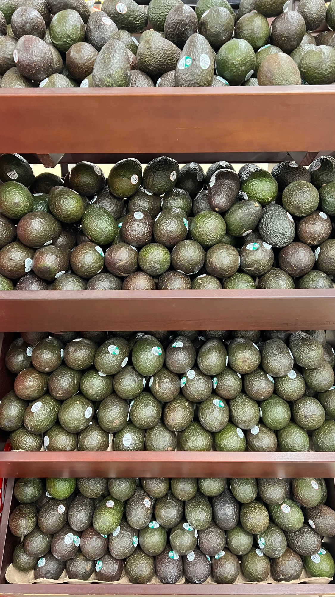 on Shelf Avocados on Shelf