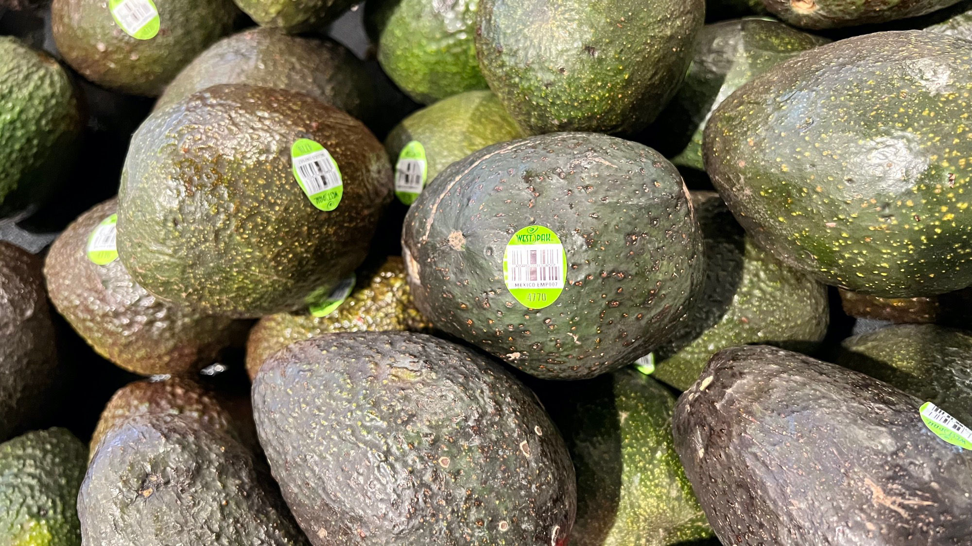 Westpak Avocados Westpak