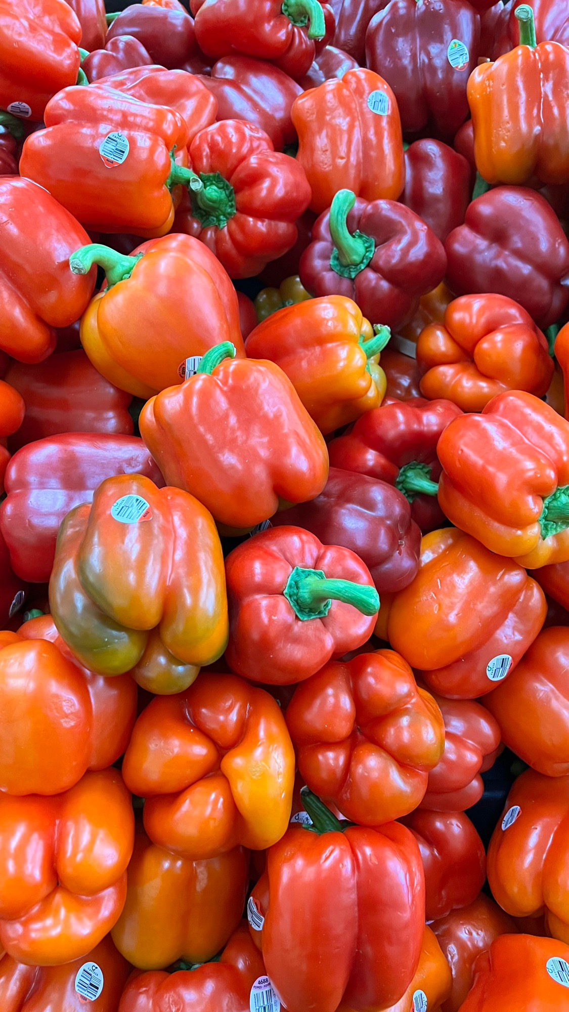 Bell Peppers Red