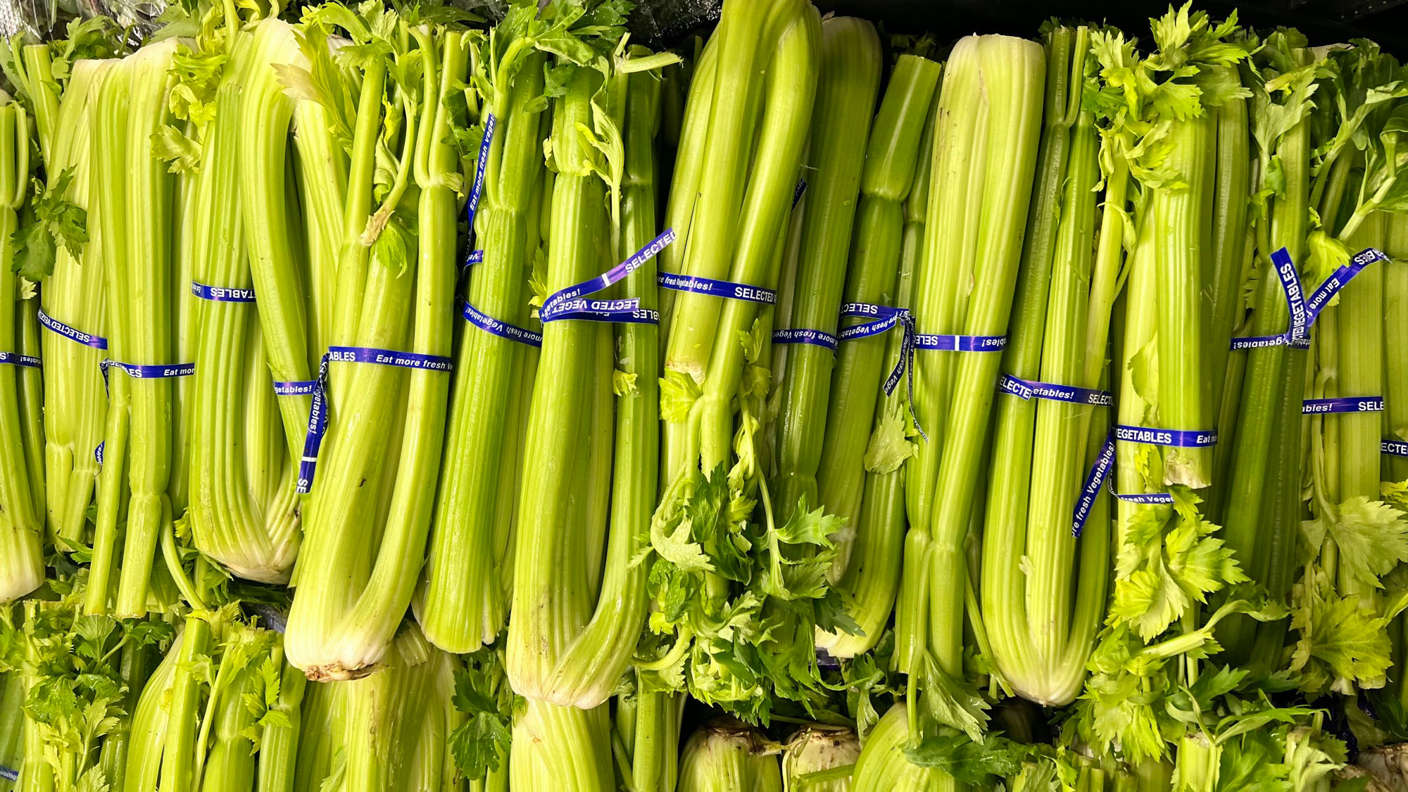 Celery