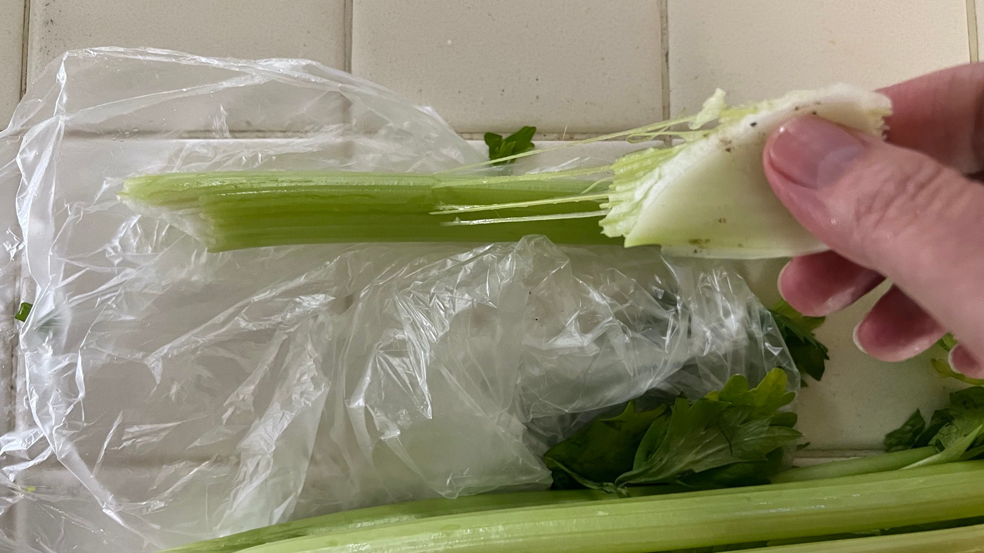 Celery Remove Strings