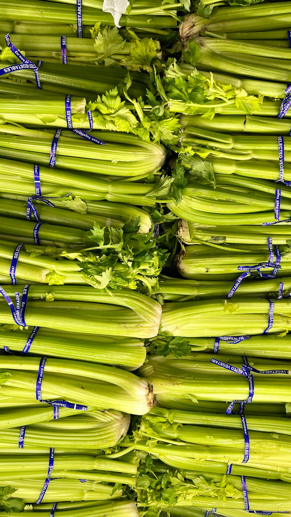Celery Stalks Grocery Store