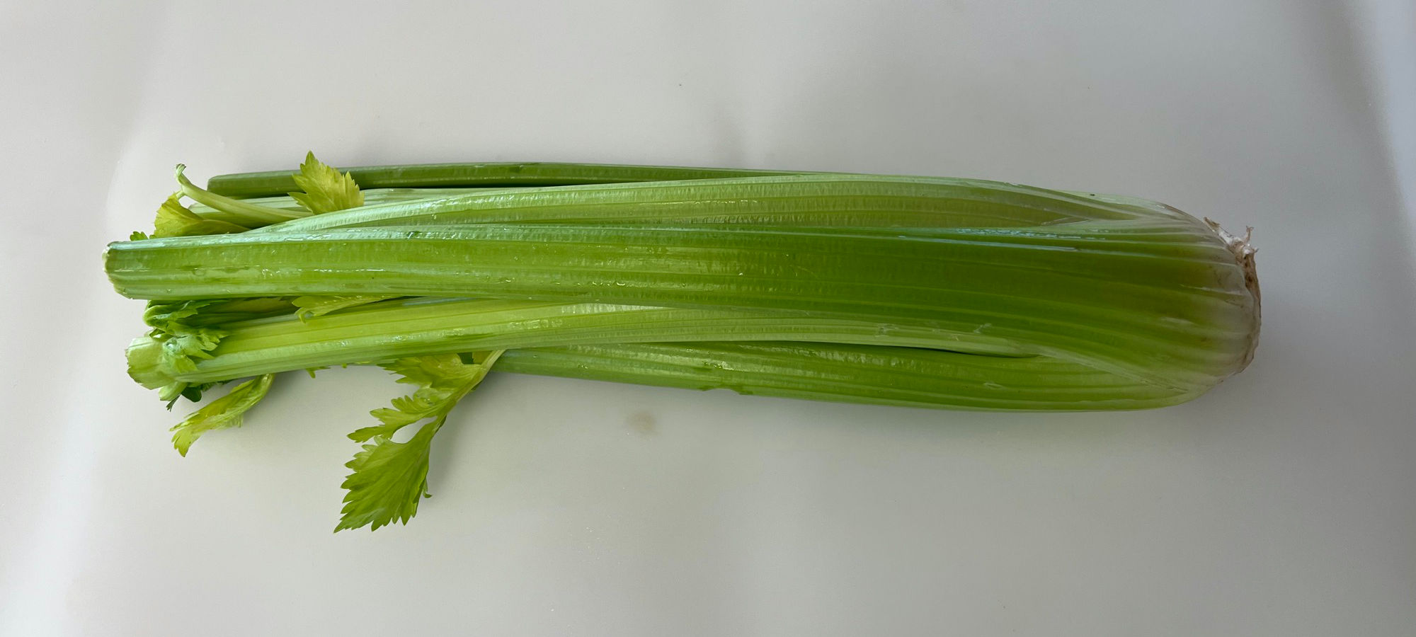 Celery Wide Stalks