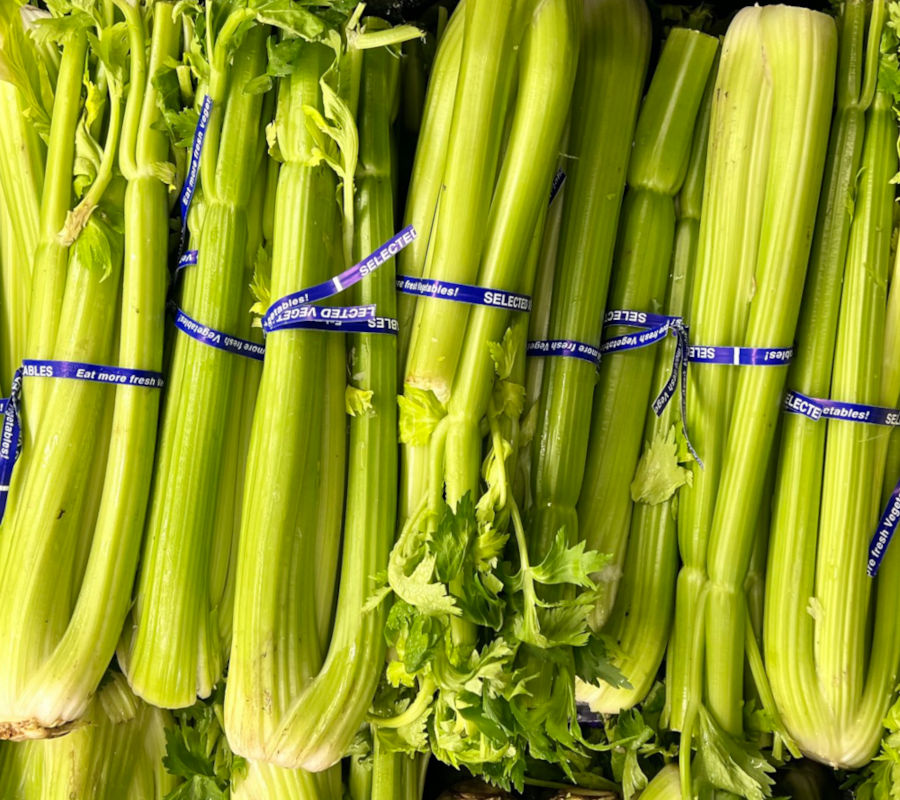 Celery