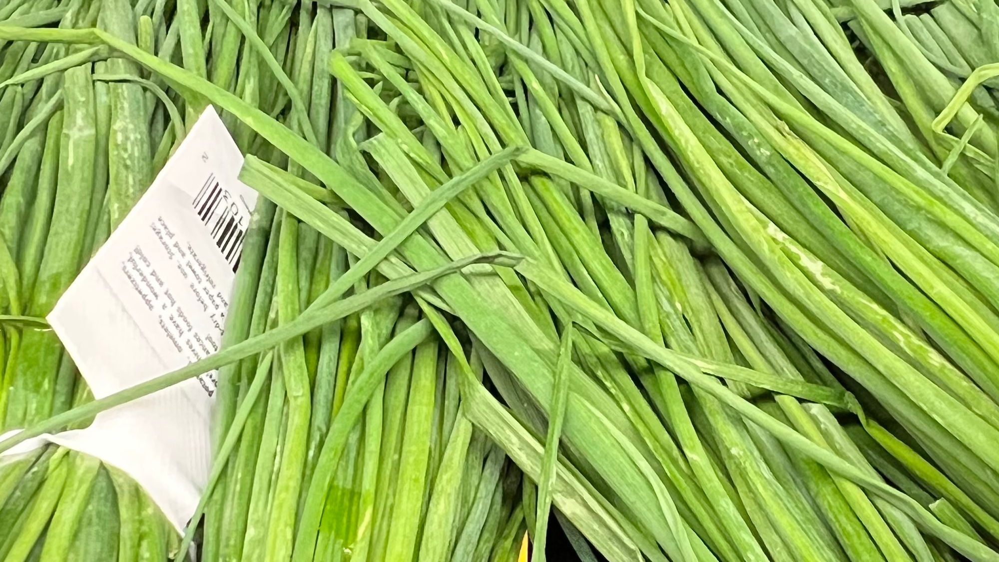 Fresh Chives