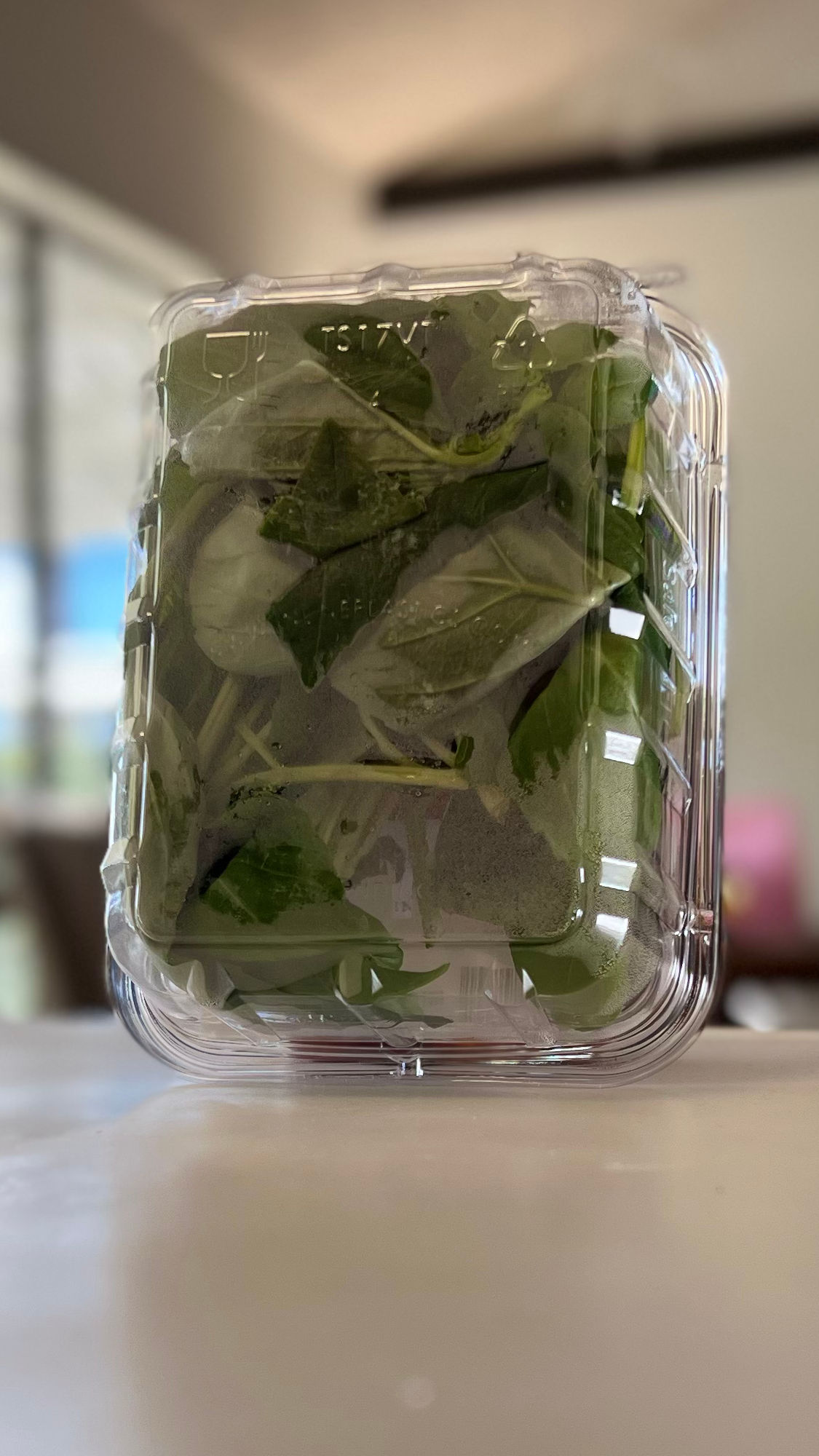 Fresh Basil Gotham Greens Pack