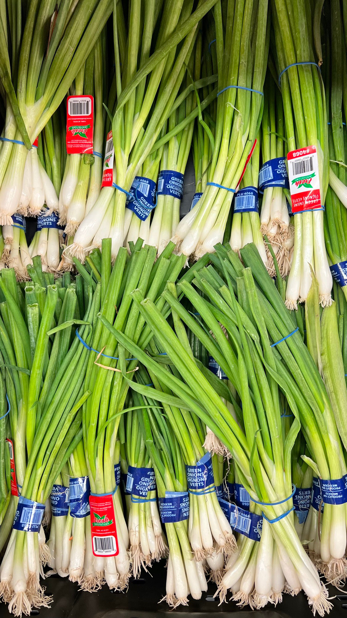 Green Onions Grocery Store