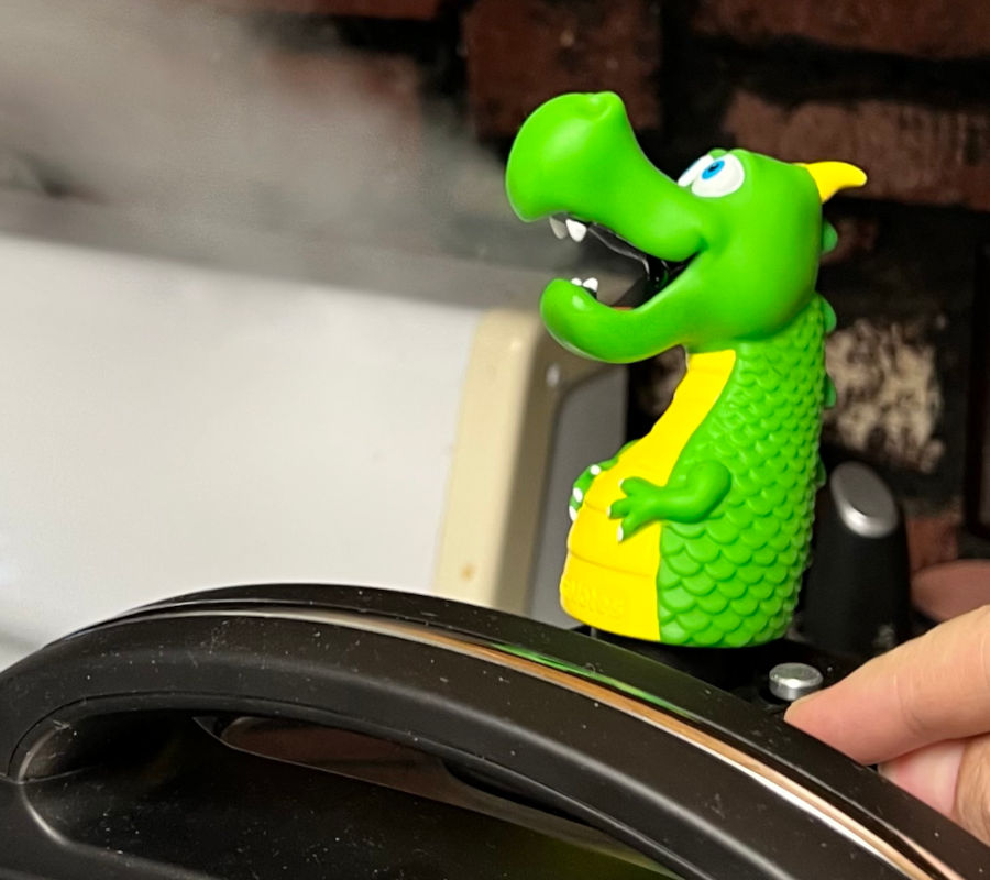 Instant Pot Dragon