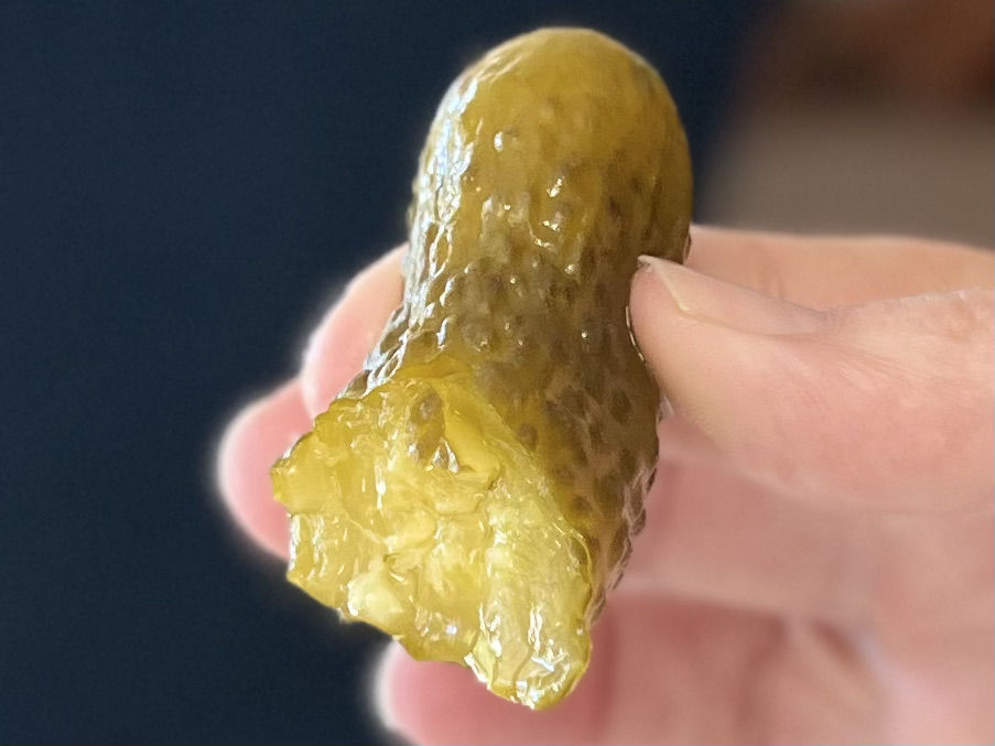 Kosher Brine Bubbies Bite